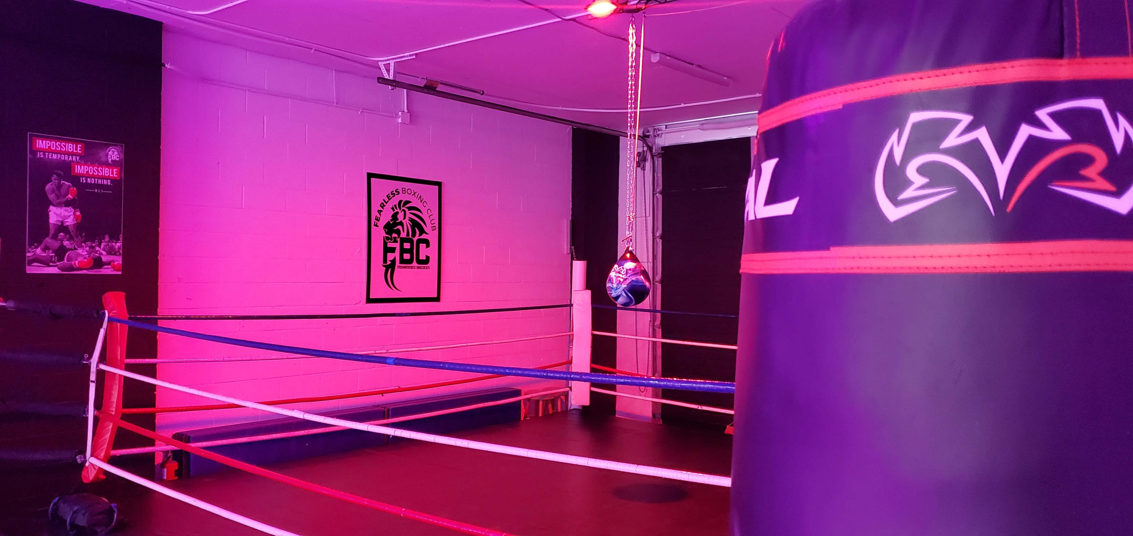 The image shows a boxing gym featuring a ring with colored ropes, a heavy bag, and a punching bag hanging from the ceiling under pink and purple lighting.