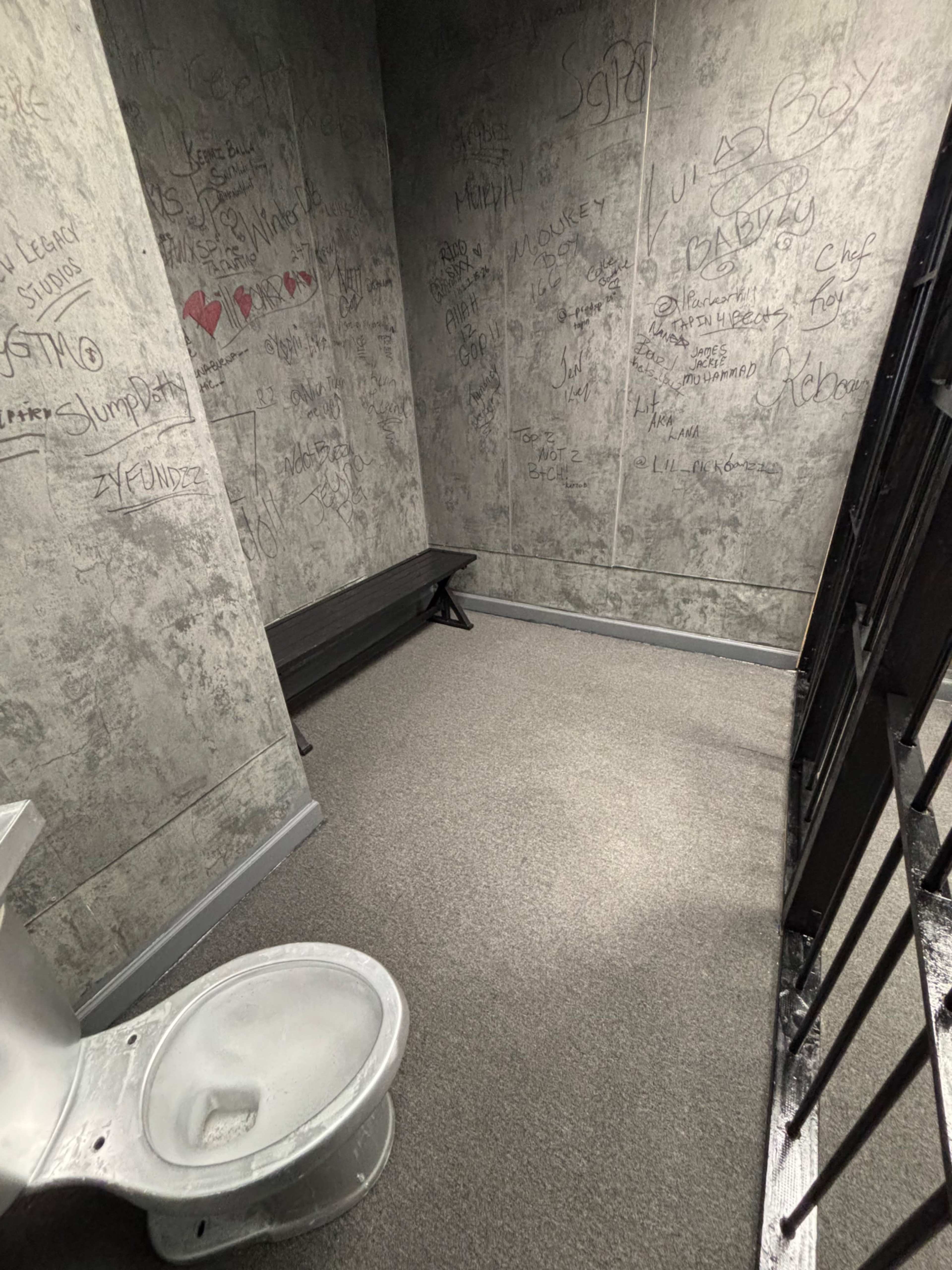 The image shows a small, empty cell with gray walls covered in graffiti, a bench along one side, and a toilet in the corner.