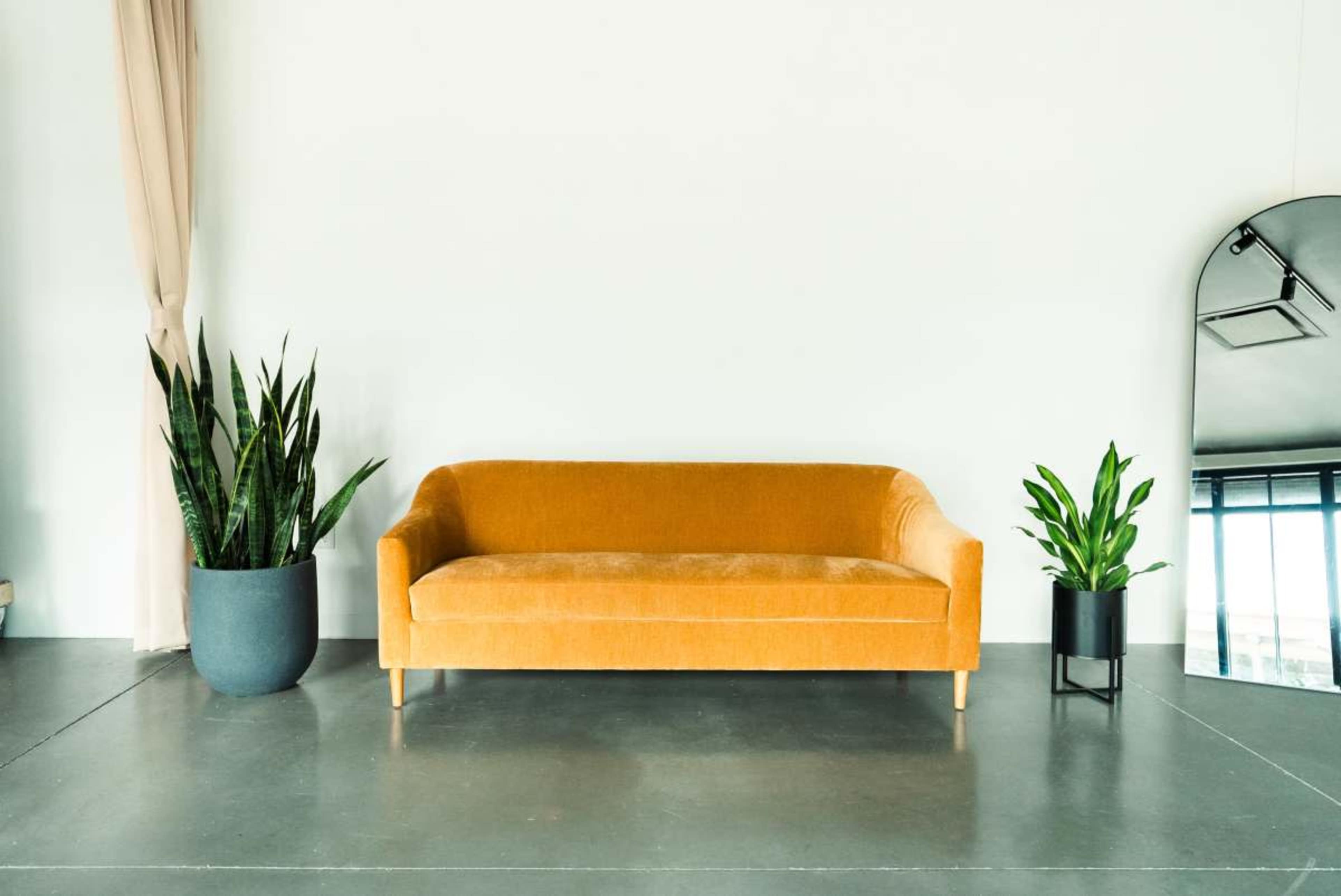 The image shows a modern living space featuring an orange velvet sofa flanked by tall green plants and a decorative mirror on the wall.