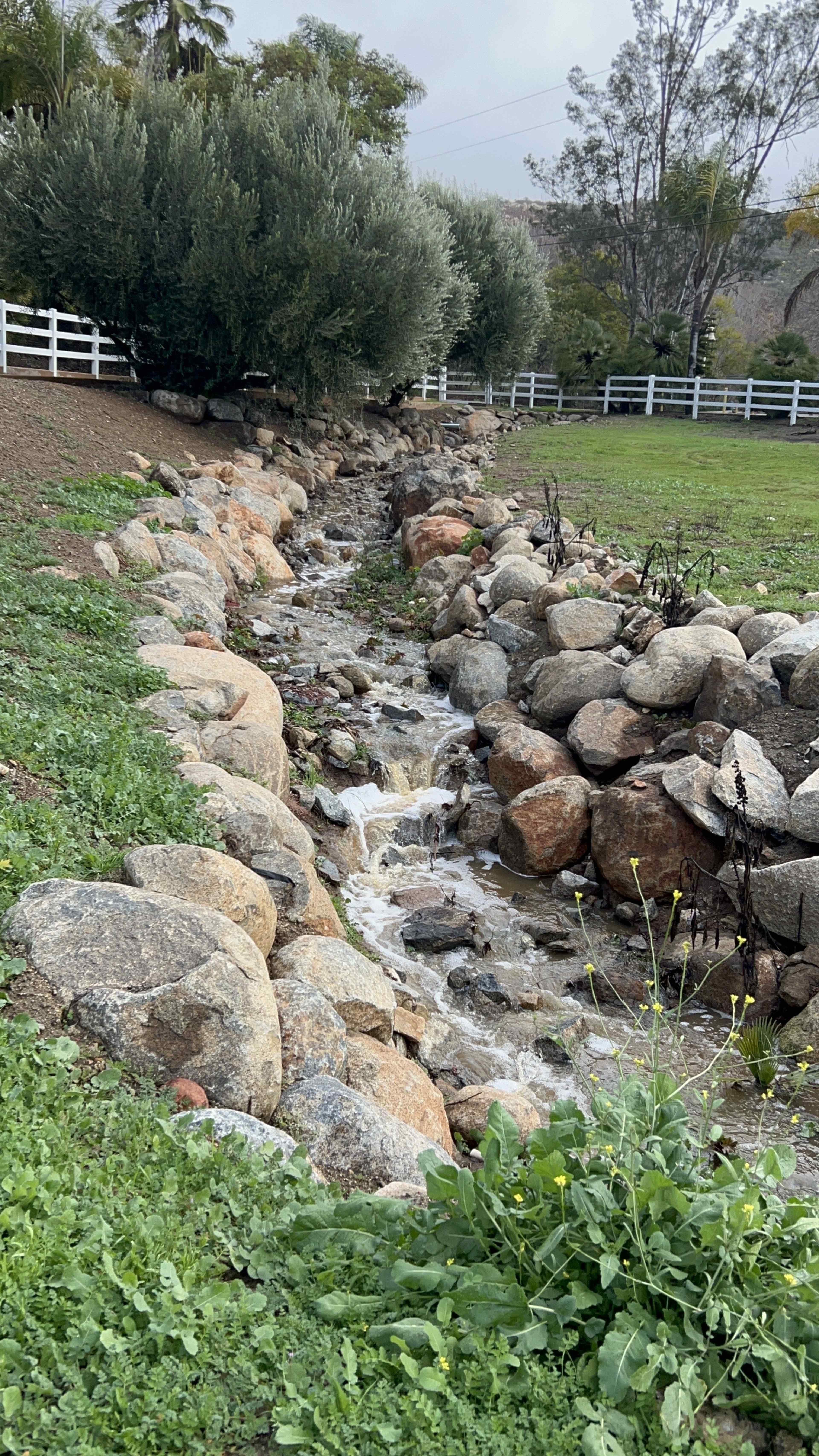 A narrow water channel flows between large rocks in a landscaped area with green grass and shrubs.