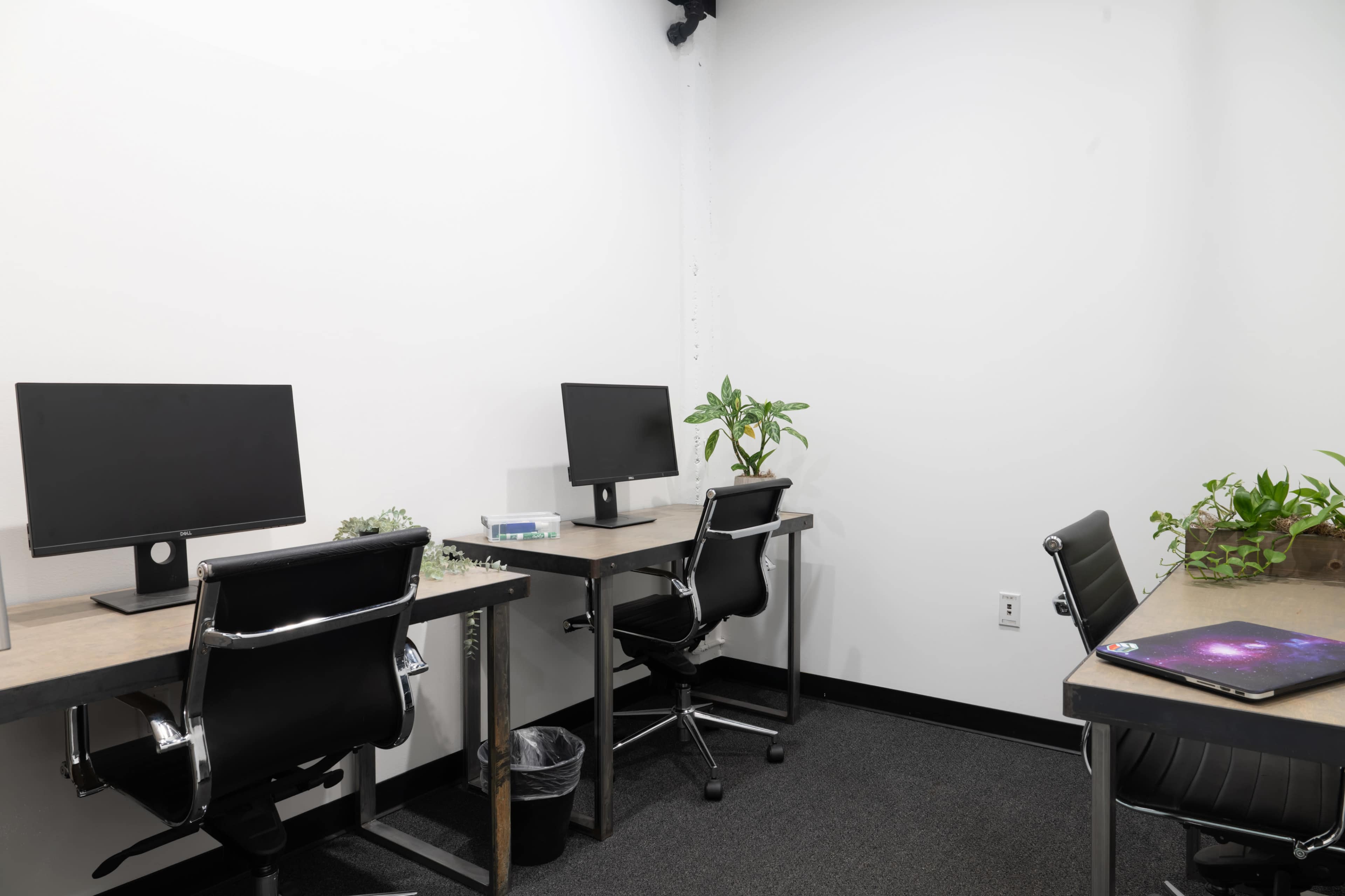 The image shows a small office space with two desks, each equipped with a computer monitor and potted plants, against a plain white wall.
