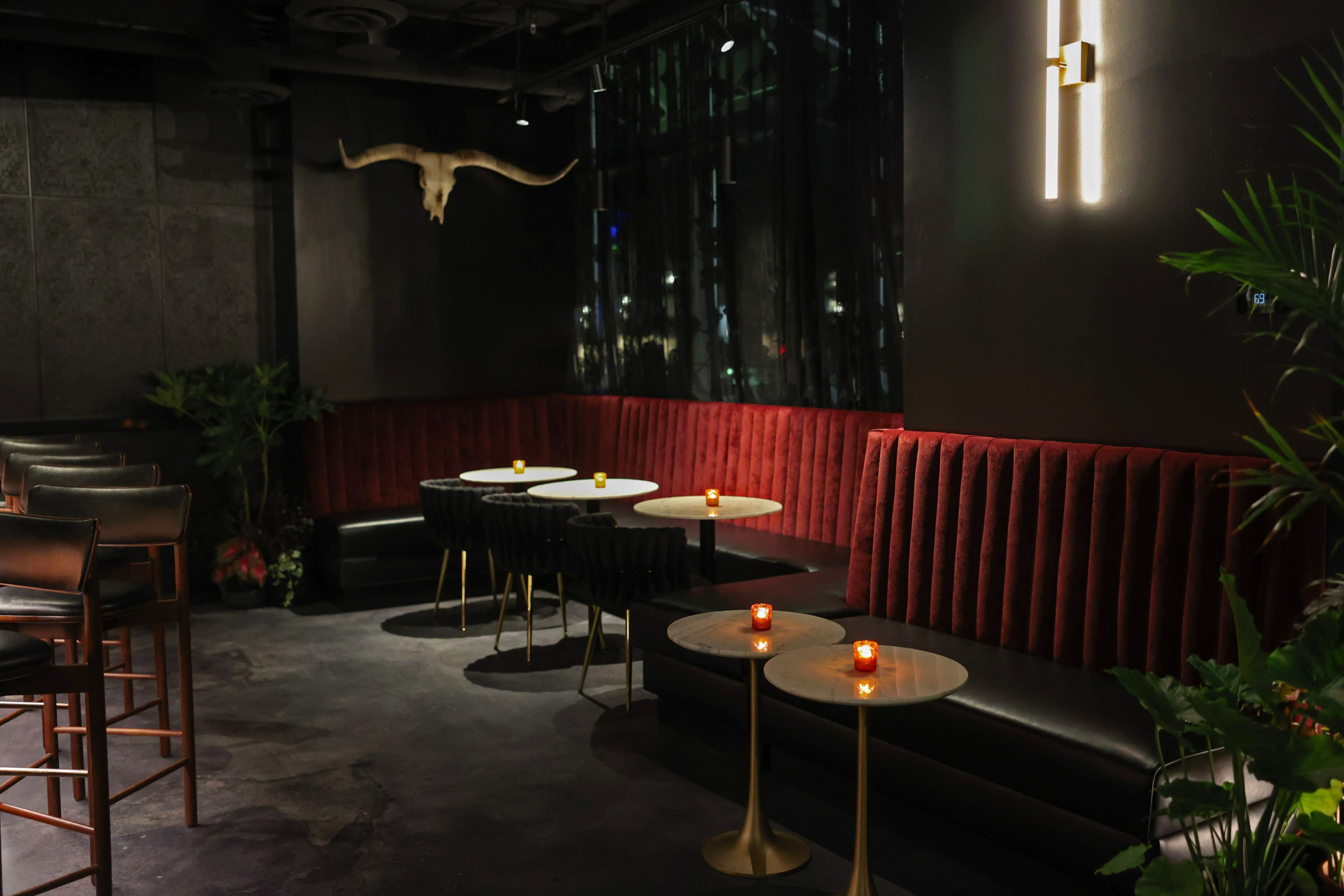 Dark & Moody River Oaks Cocktail Bar Image in Afton Oaks / River Oaks Area, Houston, TX