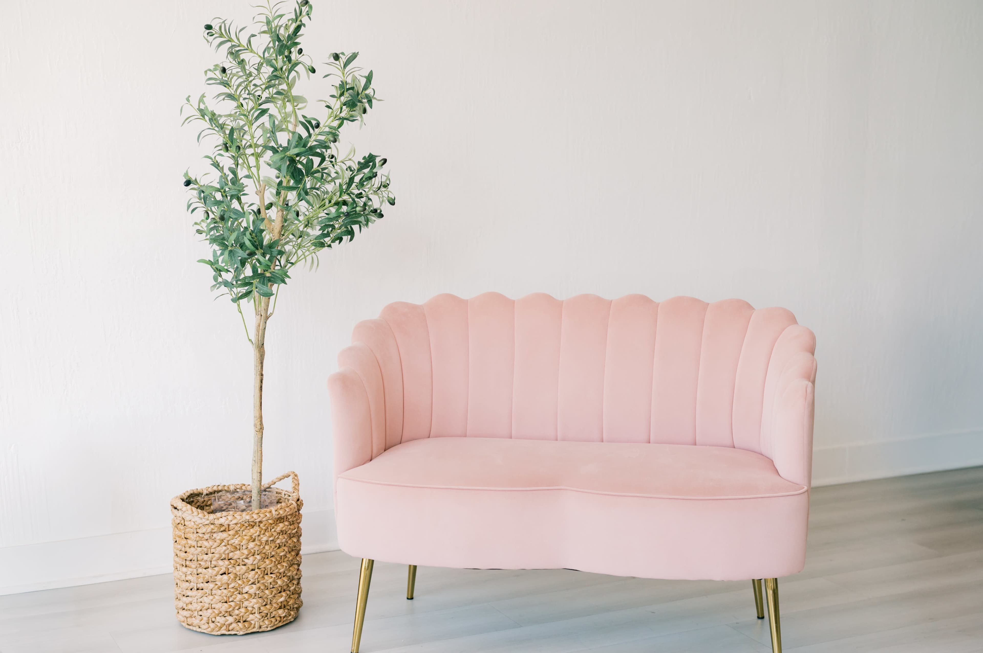 Natural Light Photo Studio with White Walls in Dublin Image in Dublin, Dublin, CA