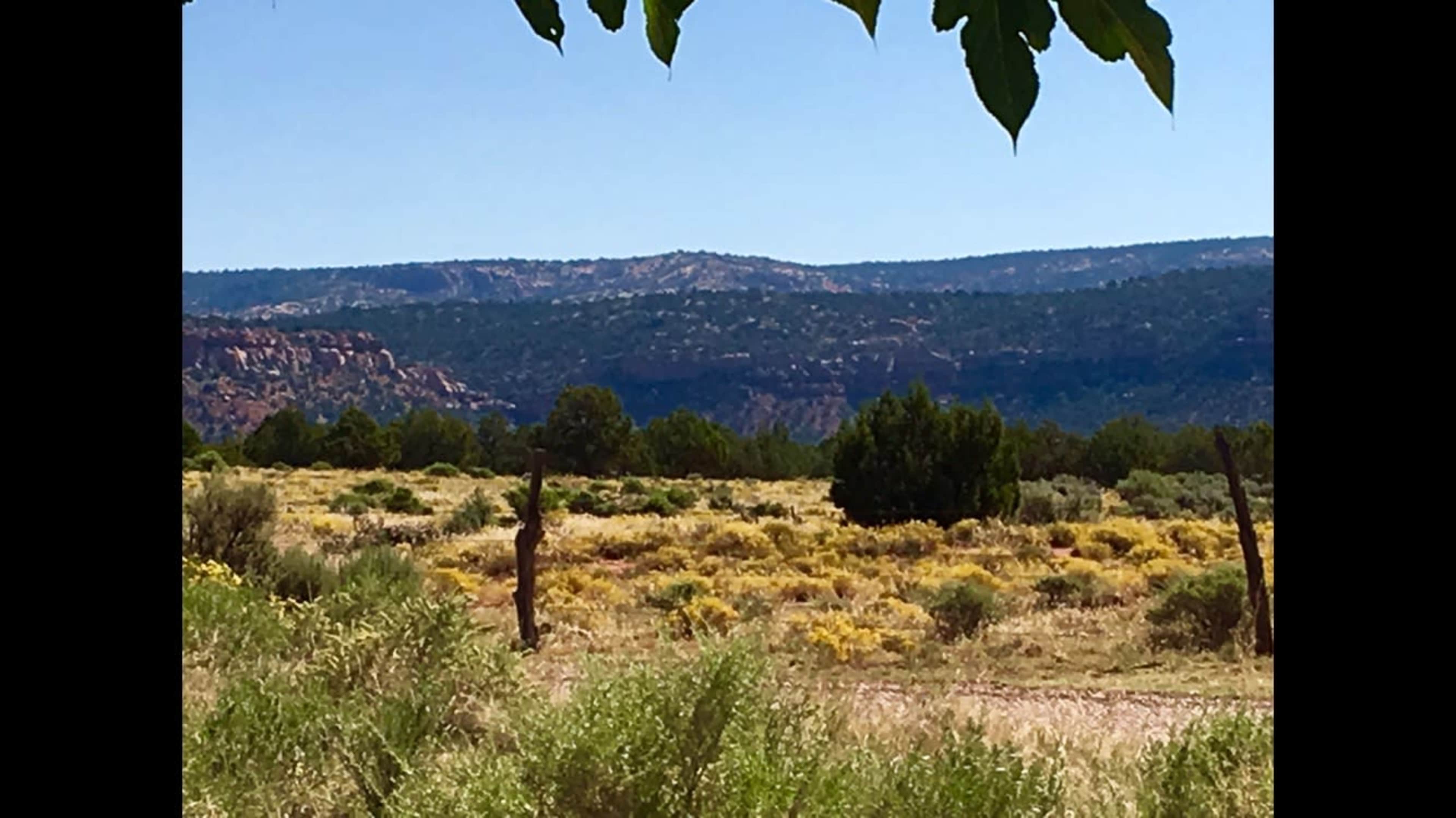 The image depicts a grassy landscape with scattered yellow wildflowers and distant mountains under a clear blue sky.