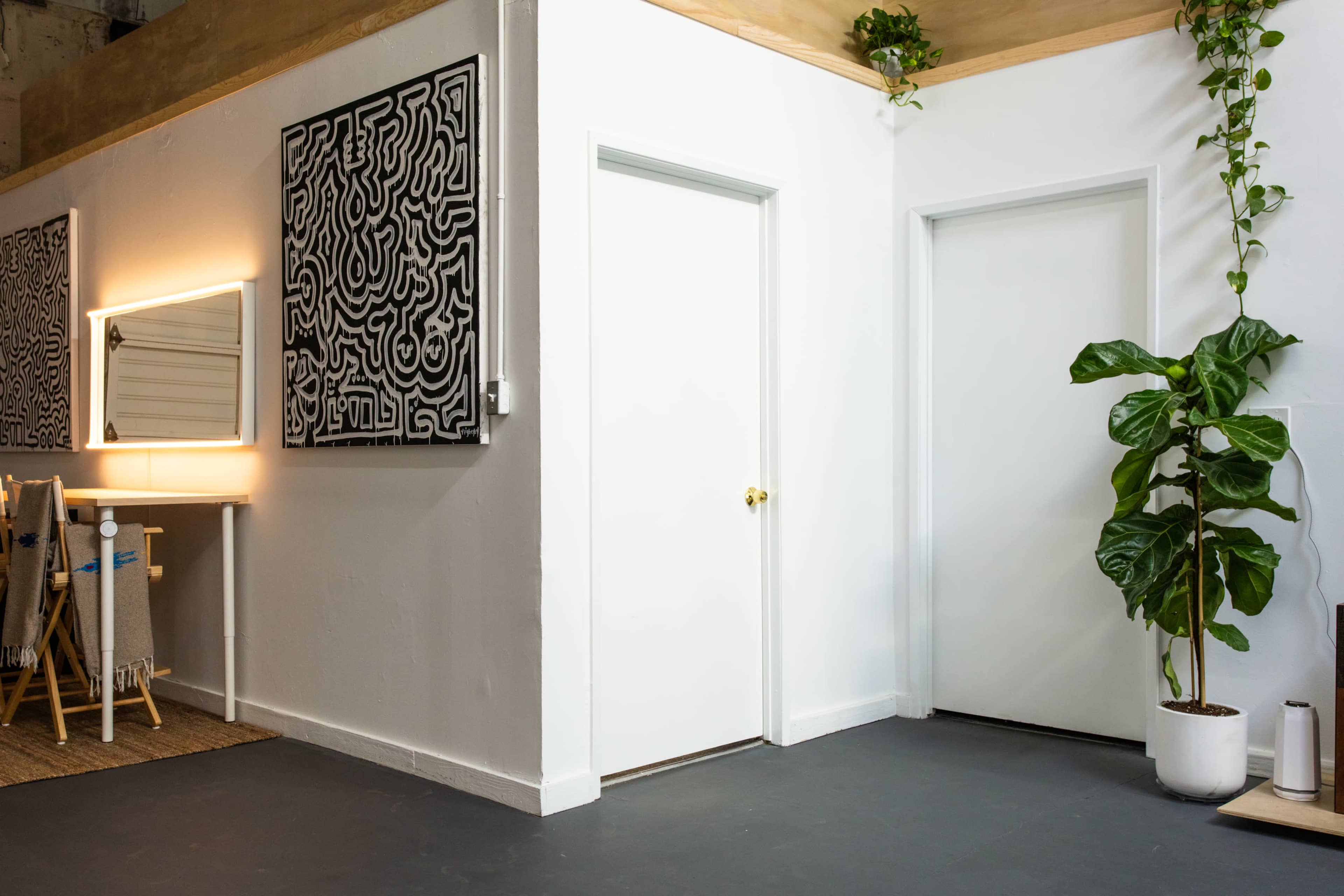 The image shows a well-lit room featuring two closed white doors, a mirror, a wall with abstract art, and a large green plant in a white pot.