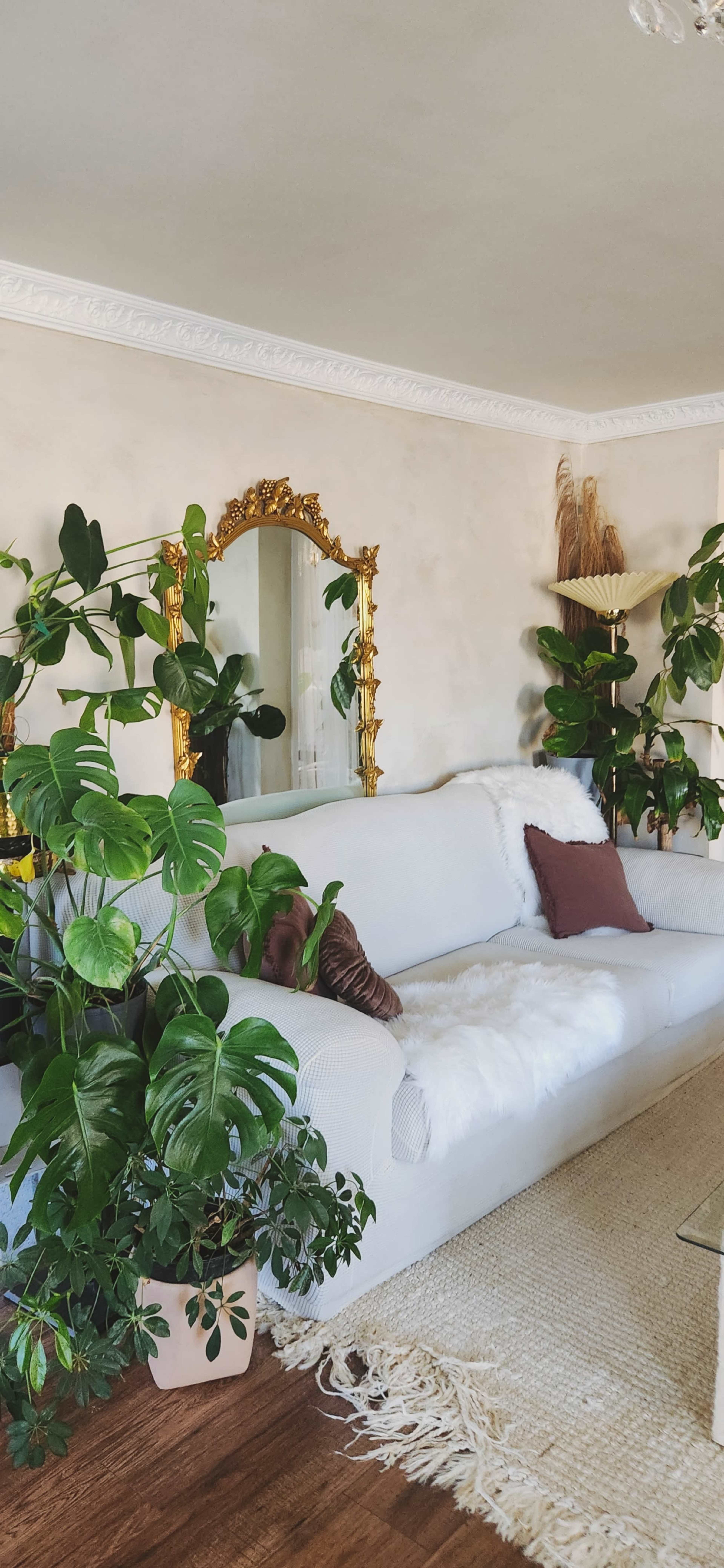 A bright living room features a white couch adorned with pillows, surrounded by various lush green plants and a large ornate mirror on the wall.