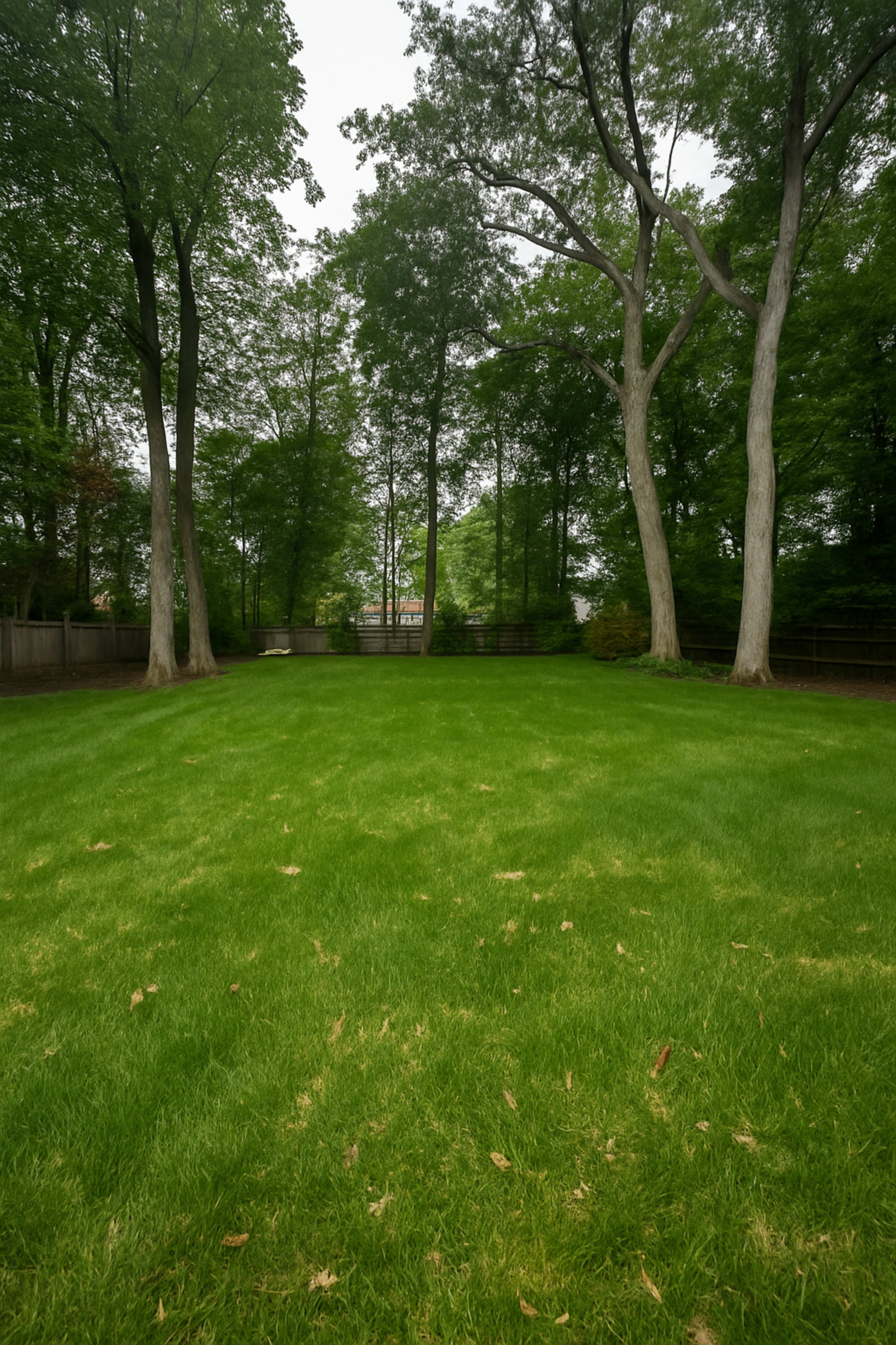 Suburban shaded backyard Image in Wellesley, Wellesley, MA