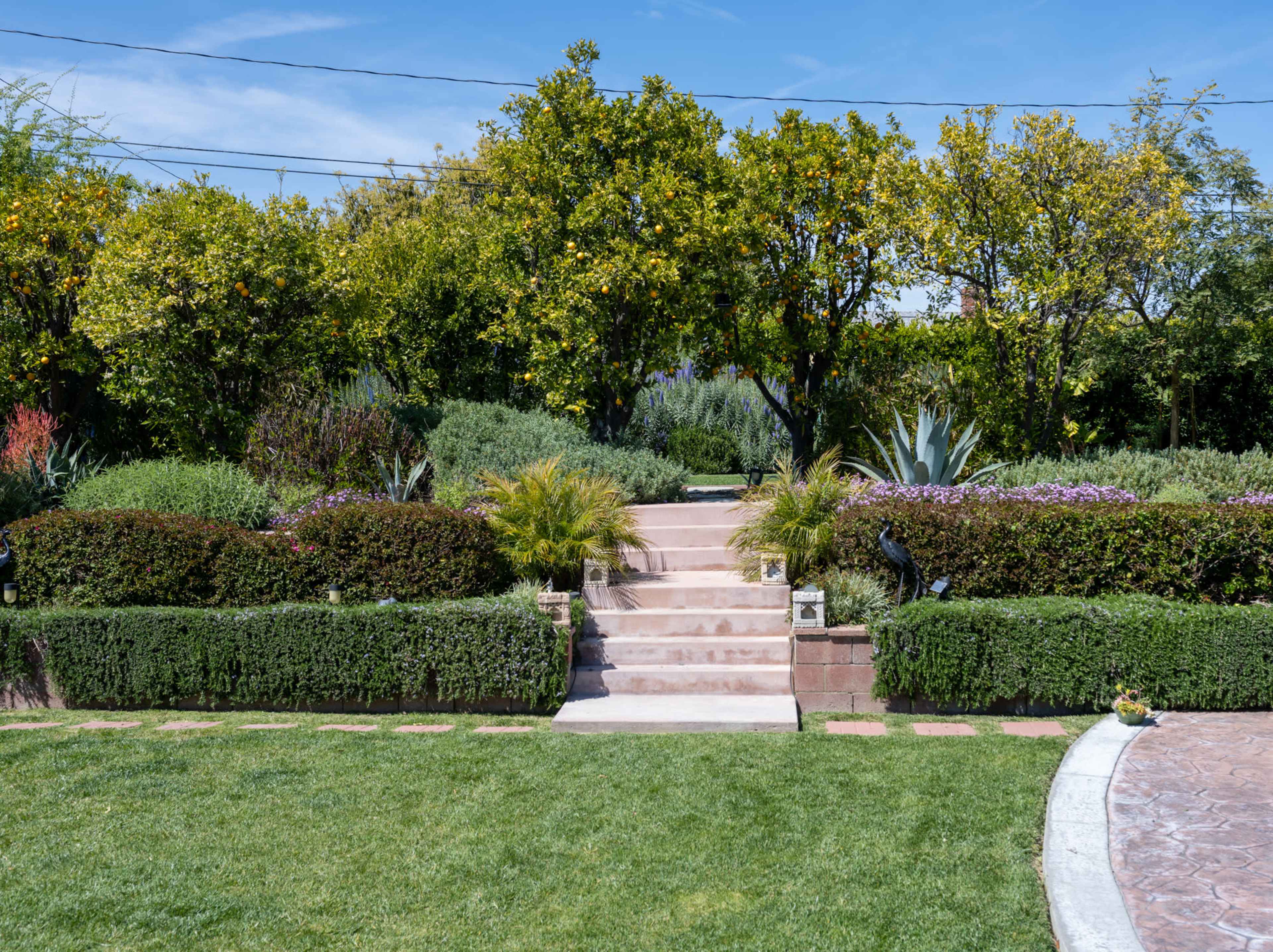 The image shows a neatly landscaped garden featuring a stone pathway leading up to a set of steps flanked by lush greenery and various plants.