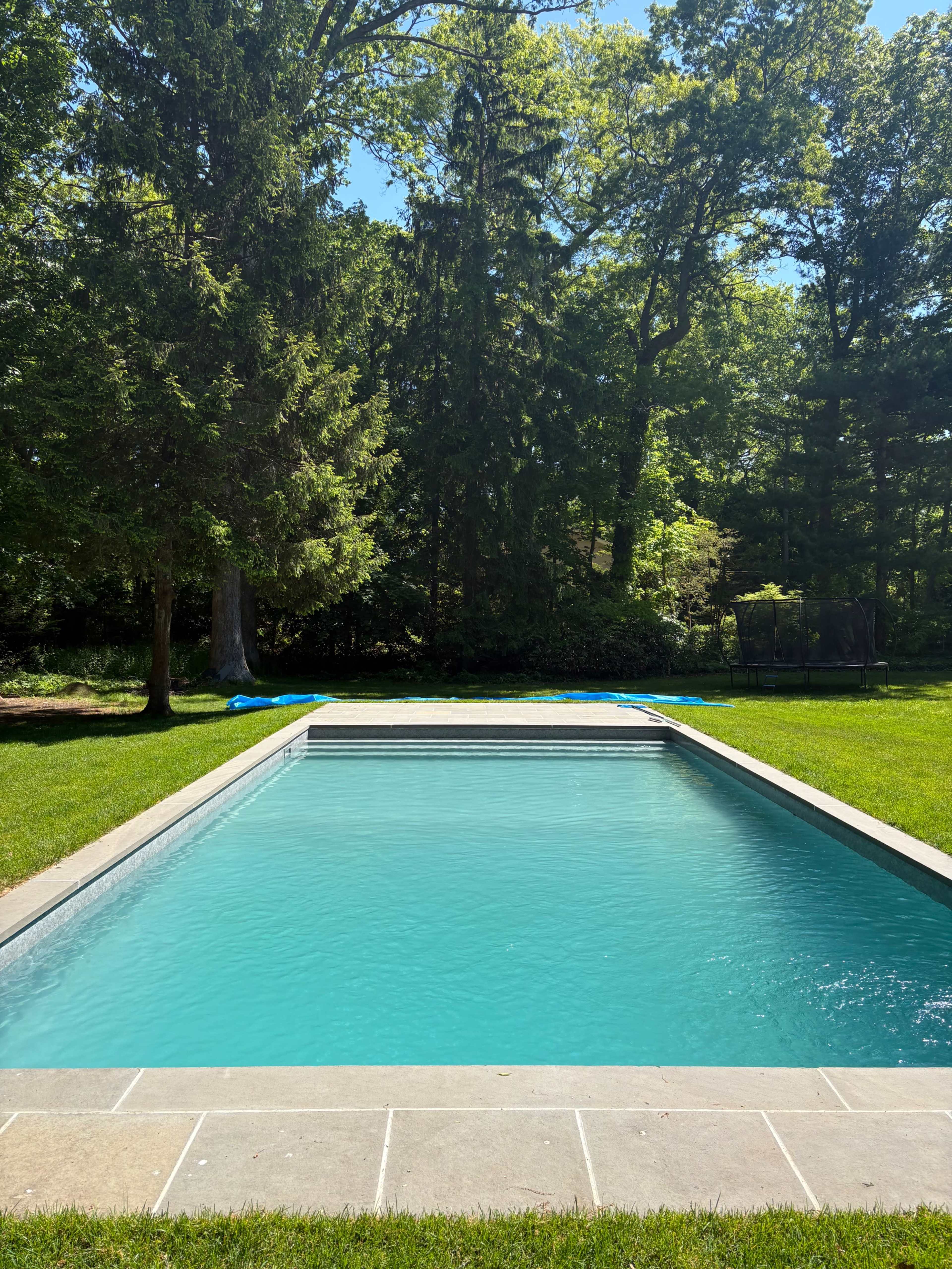 Expansive Outdoor Retreat with Hamptons Pool and Woodland Backdrop Image in Huntington, Huntington, NY