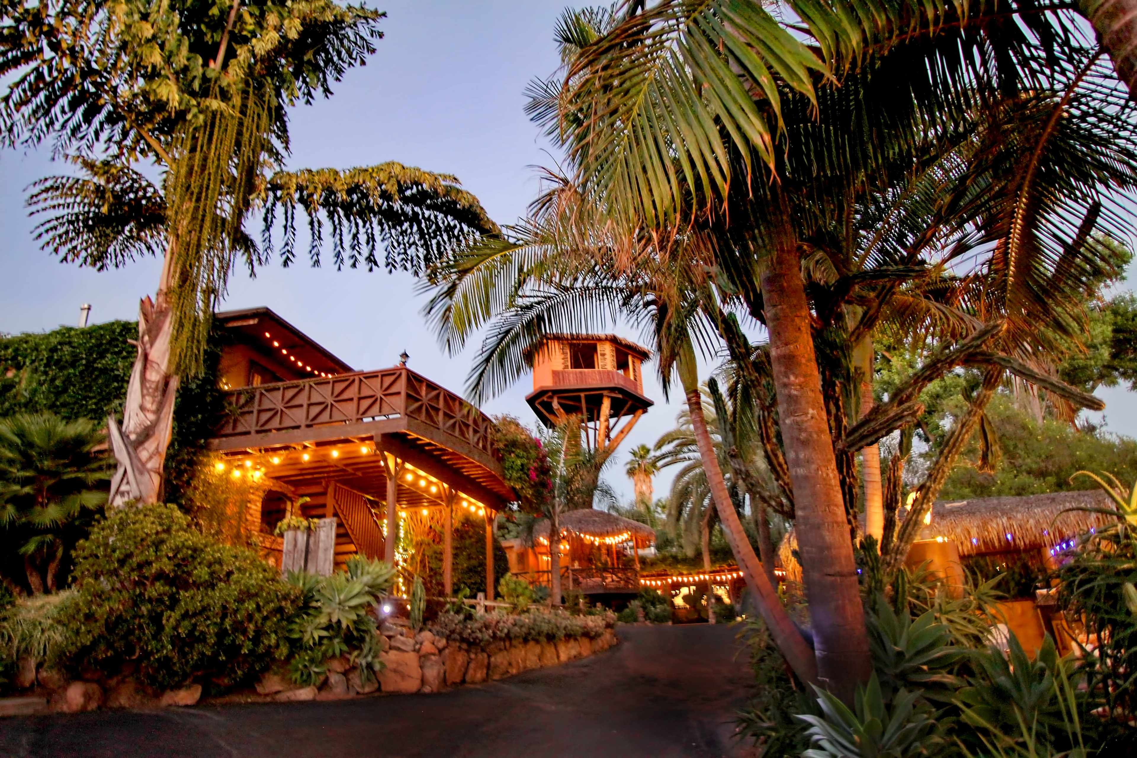 A tropical setting features a rustic wooden house with an elevated treehouse surrounded by palm trees and lush greenery, illuminated by lights.