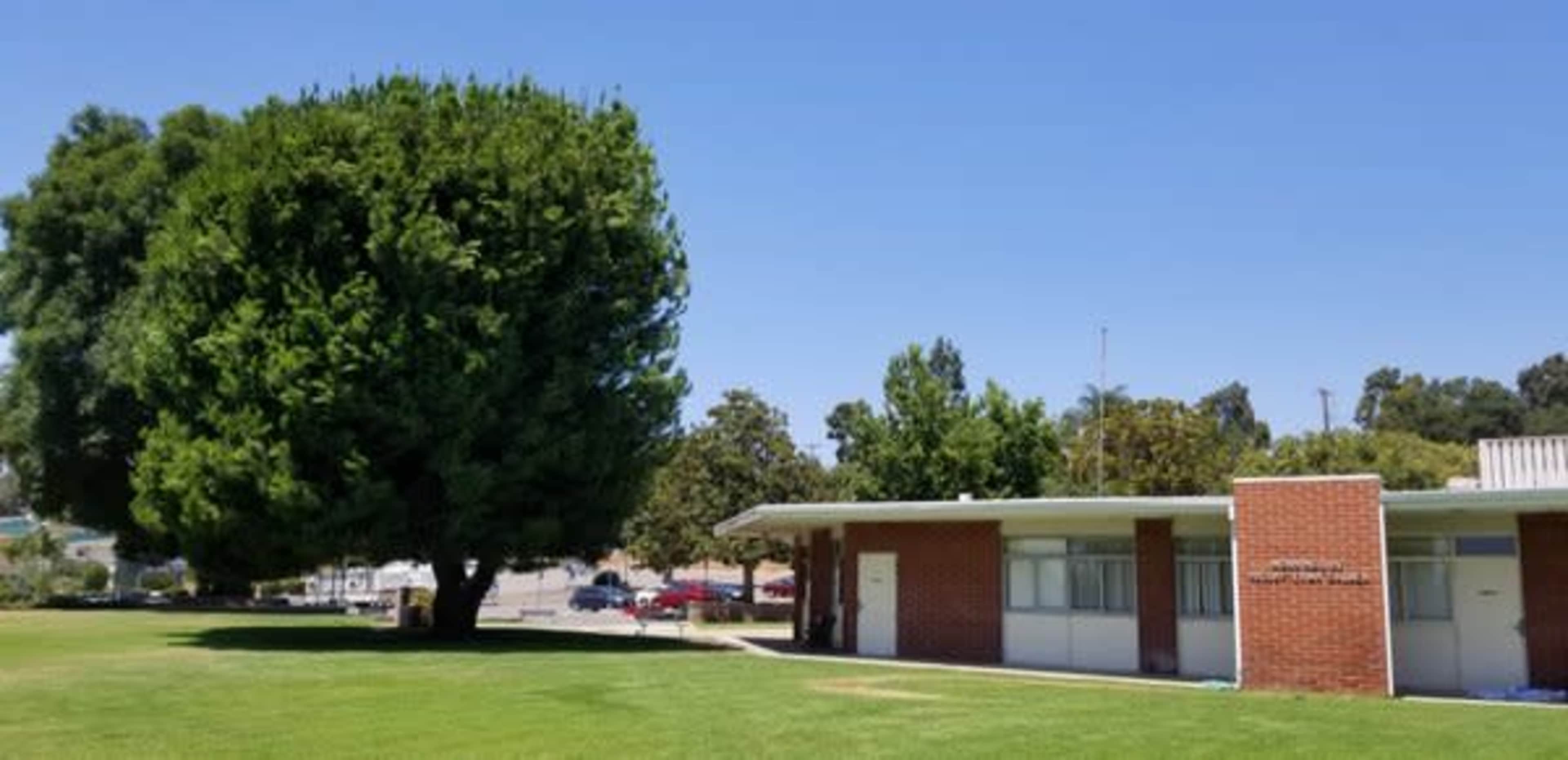The image shows a brick building with large windows beside a sizable tree on a green lawn under a clear blue sky.