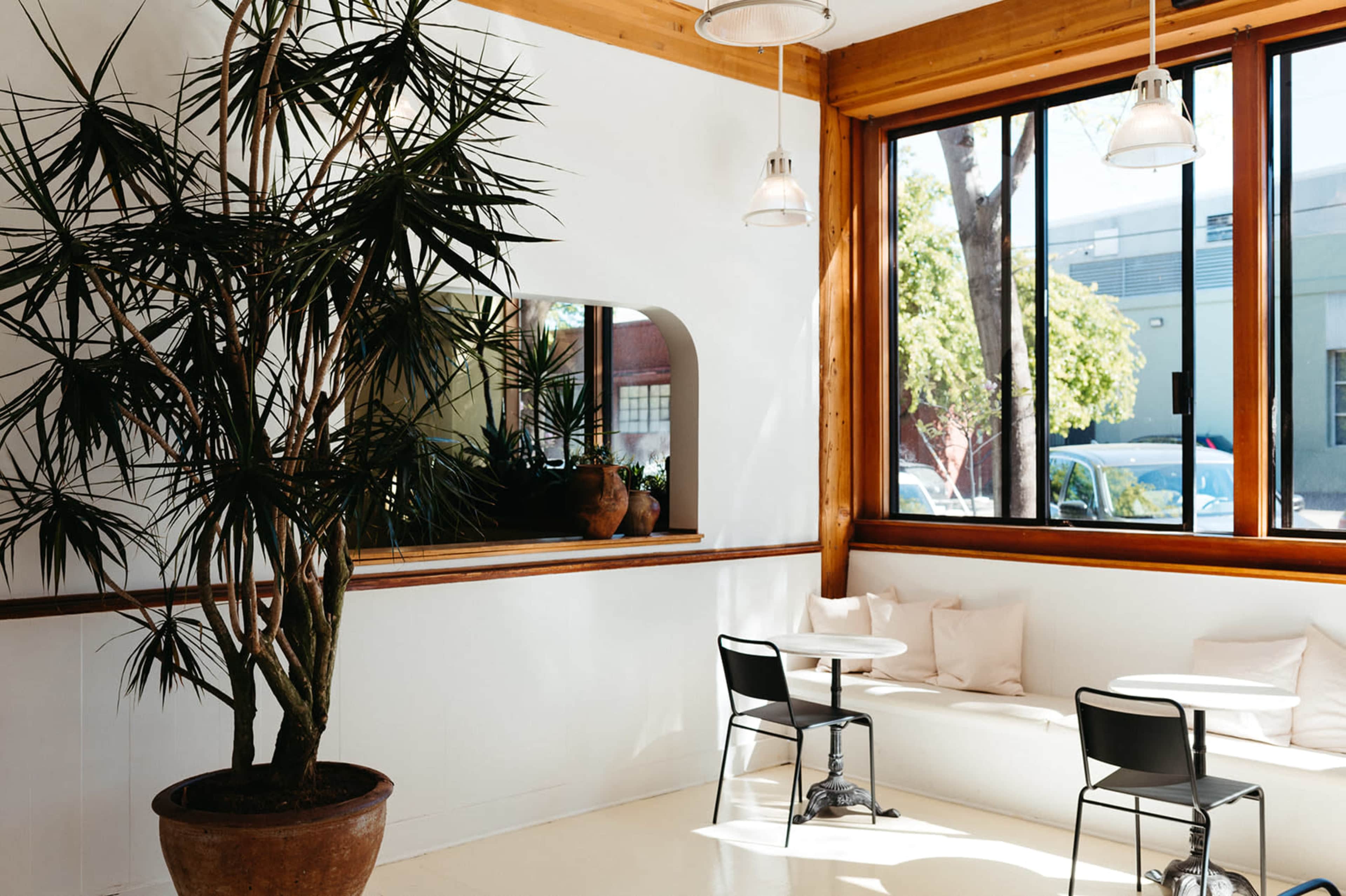 A bright, minimalist café interior with a large window, potted plants, and simple seating arrangements.