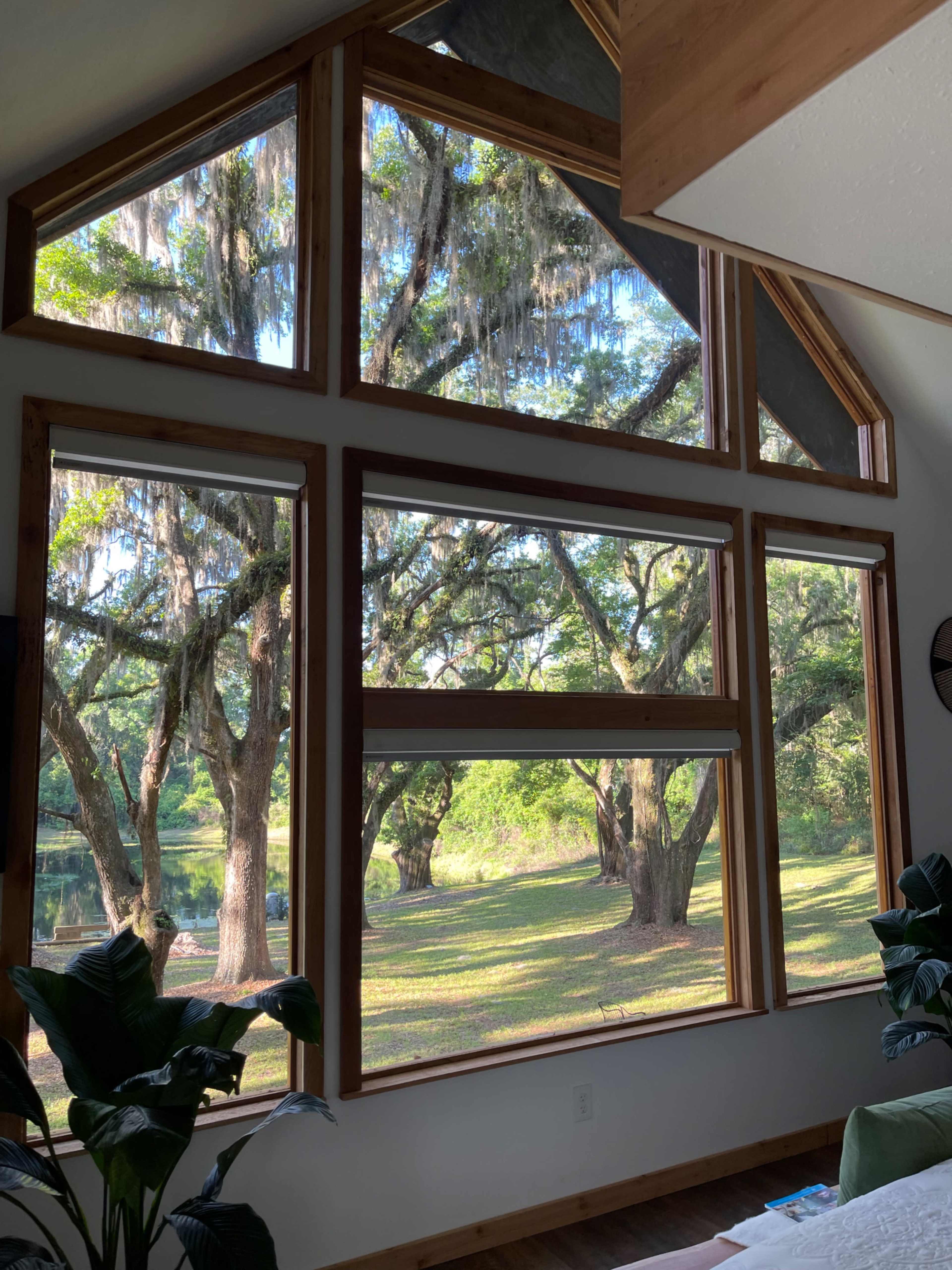 The image shows large windows in a room overlooking a lush landscape with trees and hanging moss.