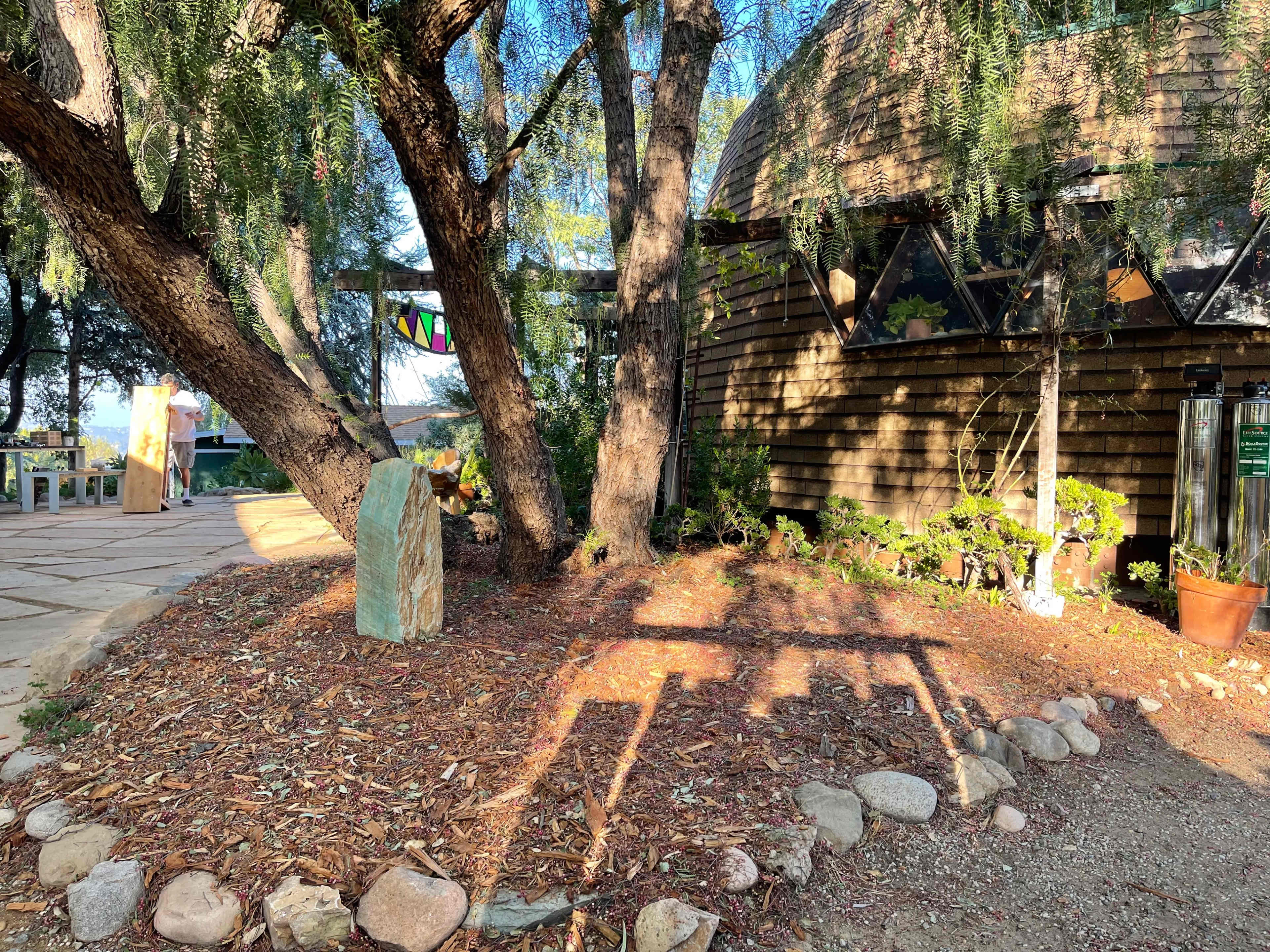 A landscaped area with a large tree casting a shadow beside a wooden building and various plants and stones on the ground.