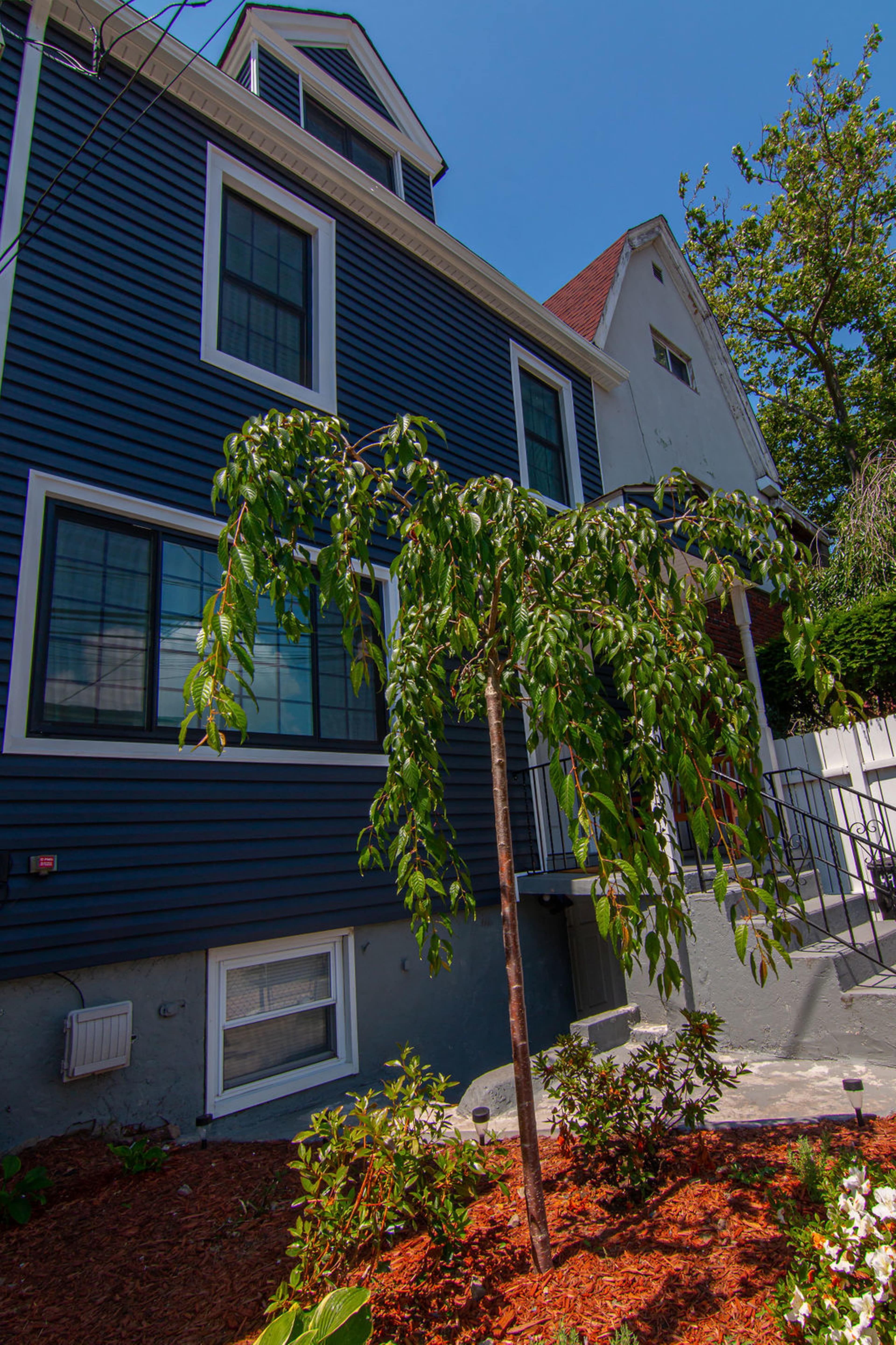 A small flowering tree stands in front of a blue, two-story house with multiple windows.