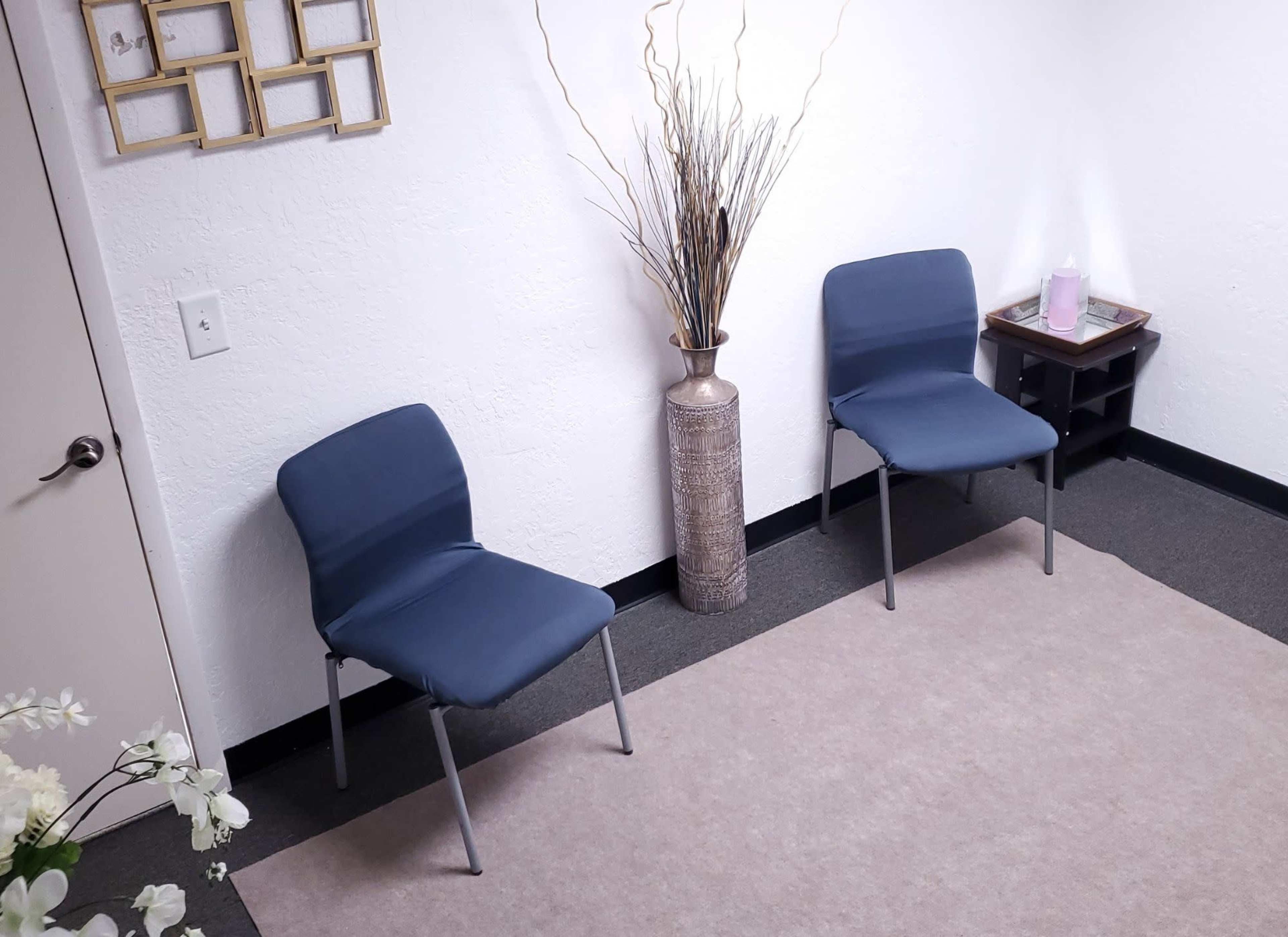 Two blue chairs facing each other across a light-colored rug in a sparsely furnished room, with a tall vase containing decorative branches in the corner.
