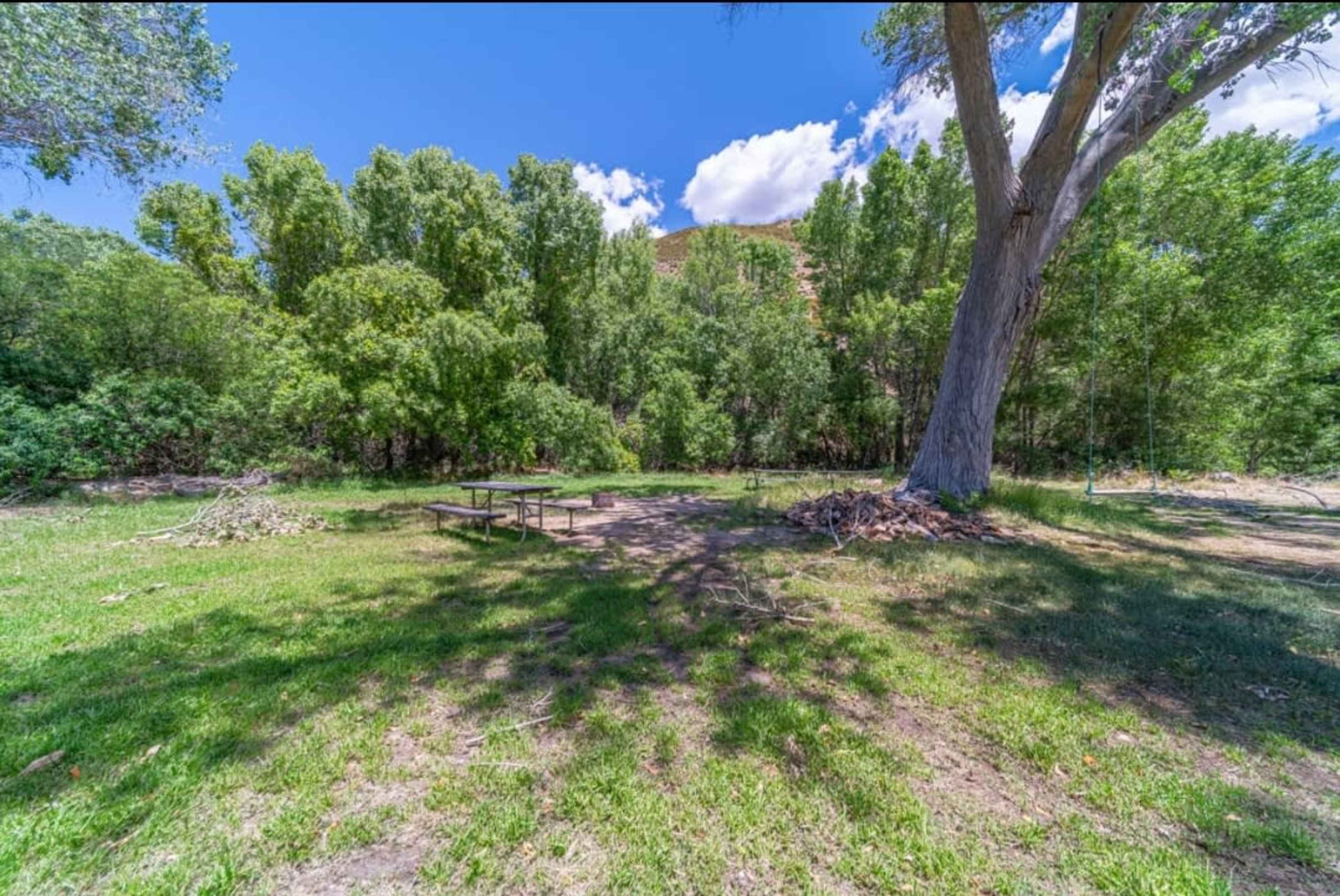 The image shows a grassy outdoor area with a picnic table and a large tree, surrounded by dense foliage and under a partly cloudy sky.