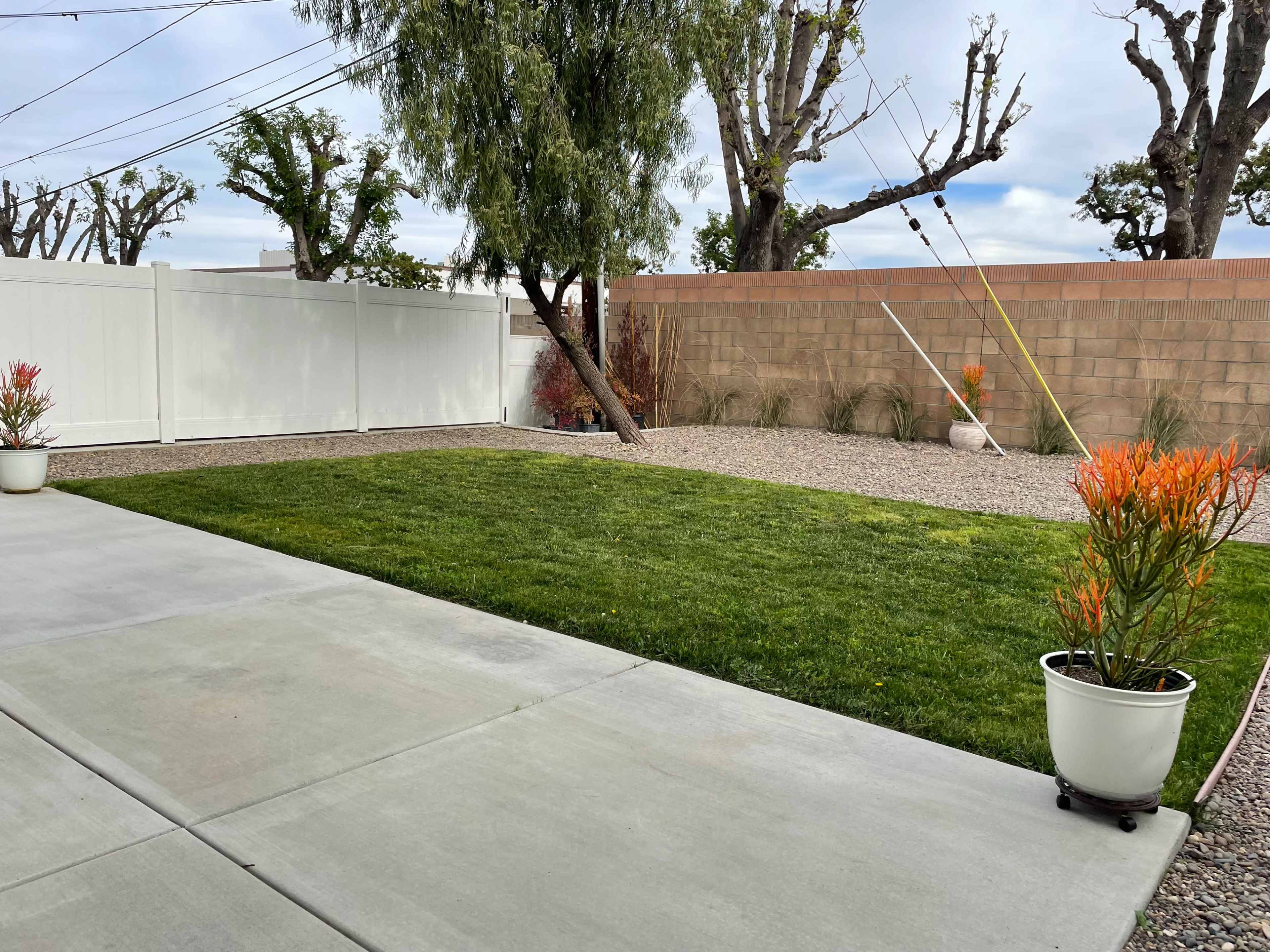 A neatly maintained backyard with a green lawn, gravel landscaping, a white fence, and potted plants.