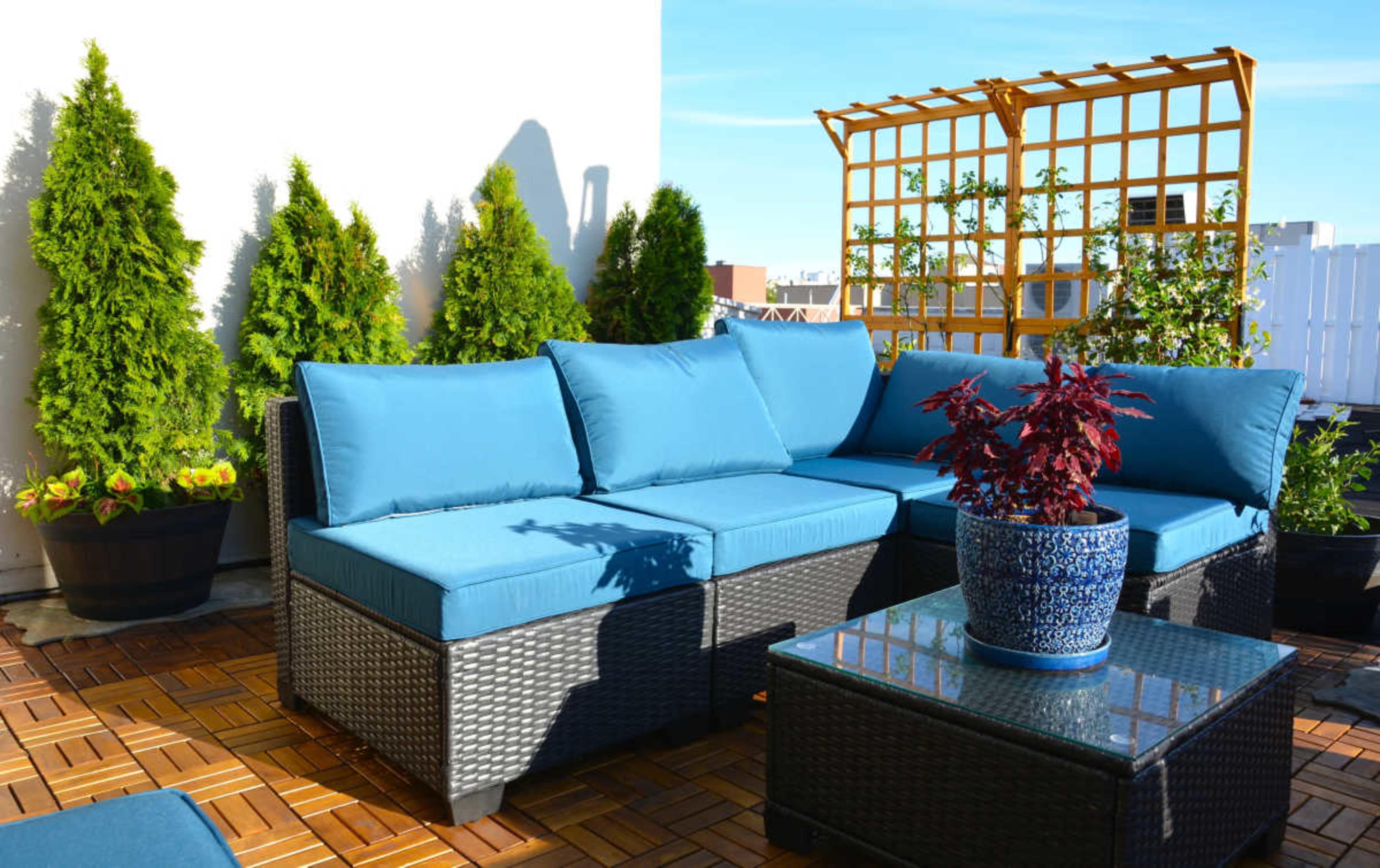 The image shows a rooftop patio featuring a large, sectional outdoor sofa with bright blue cushions, surrounded by potted plants and a wooden trellis.