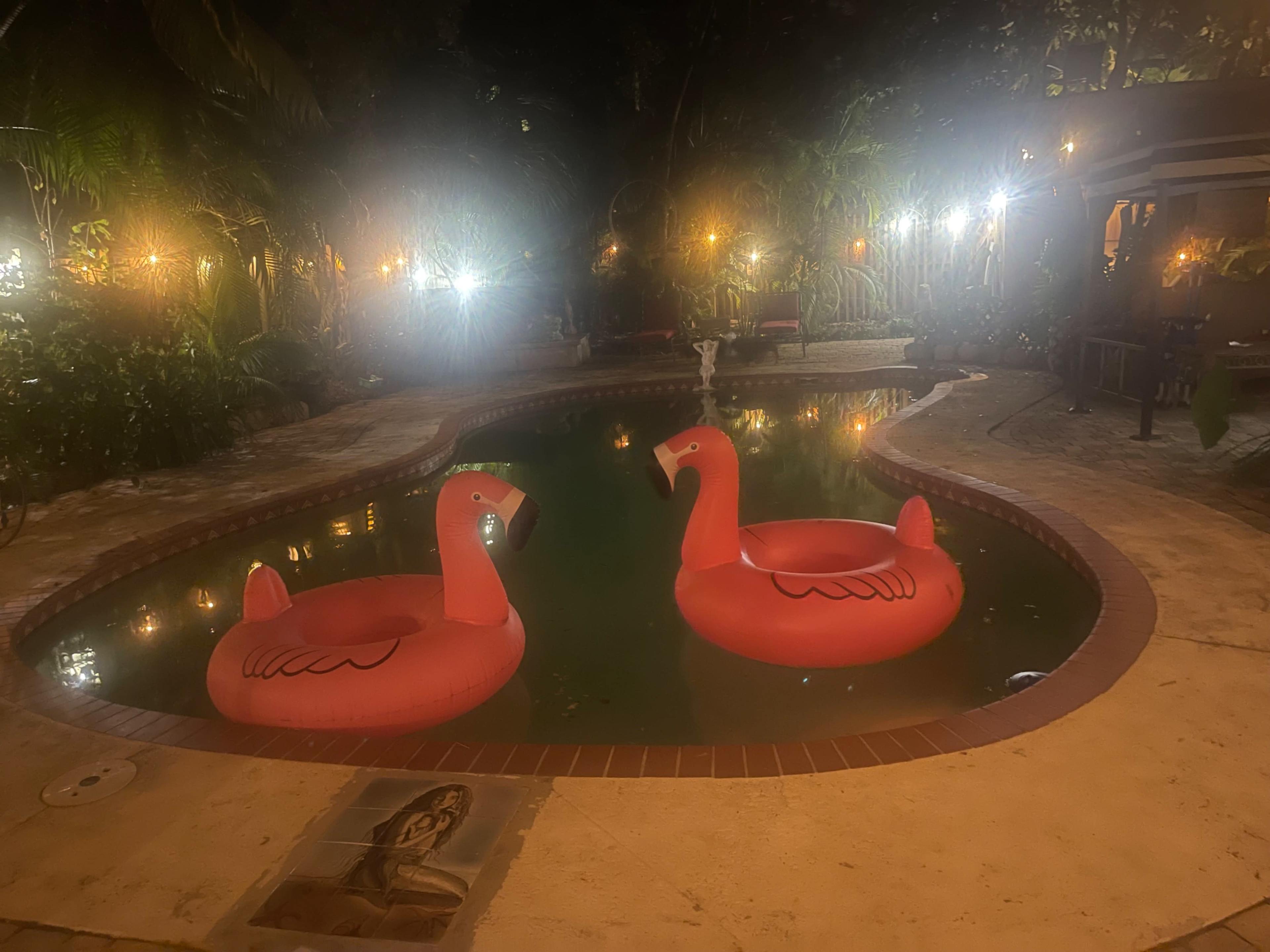 Two large red inflatable flamingos float in a private pool surrounded by illuminated palm trees and a softly lit patio area.