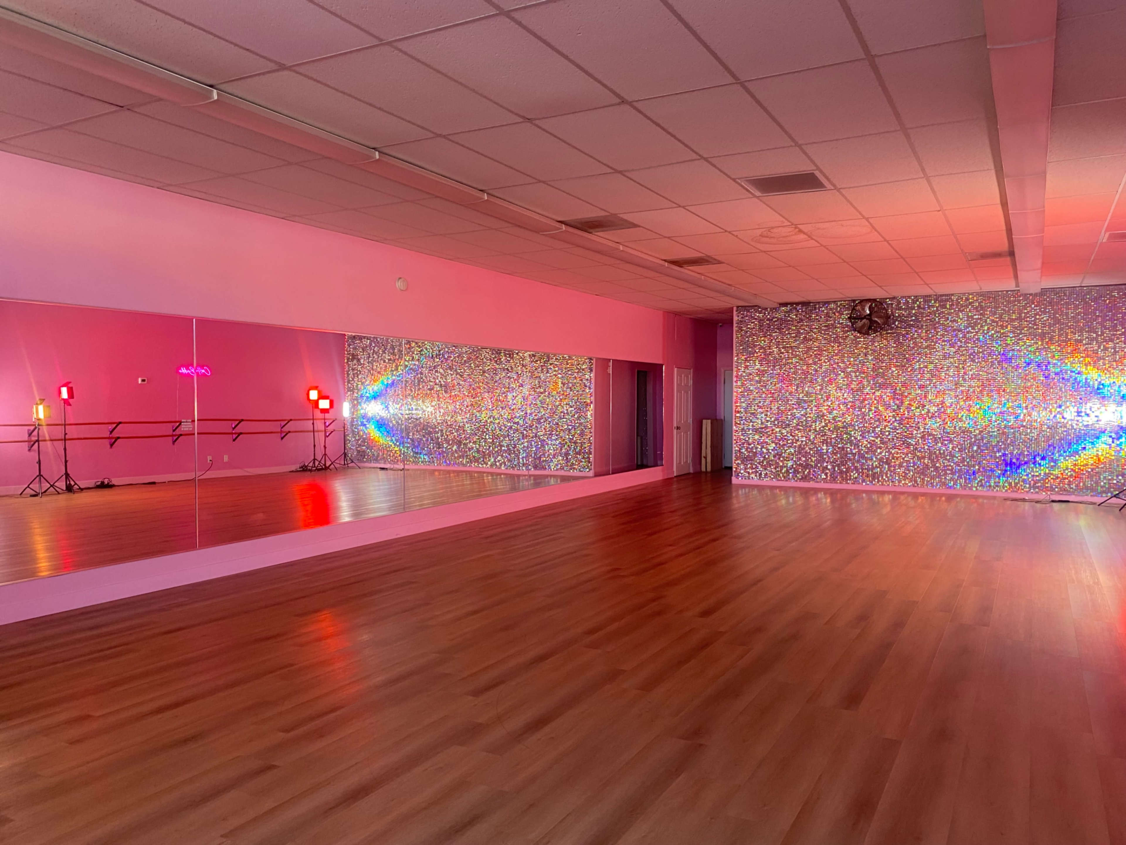 The Pink Palace | Barbie Dream House Image in Allied Gardens, San Diego, CA