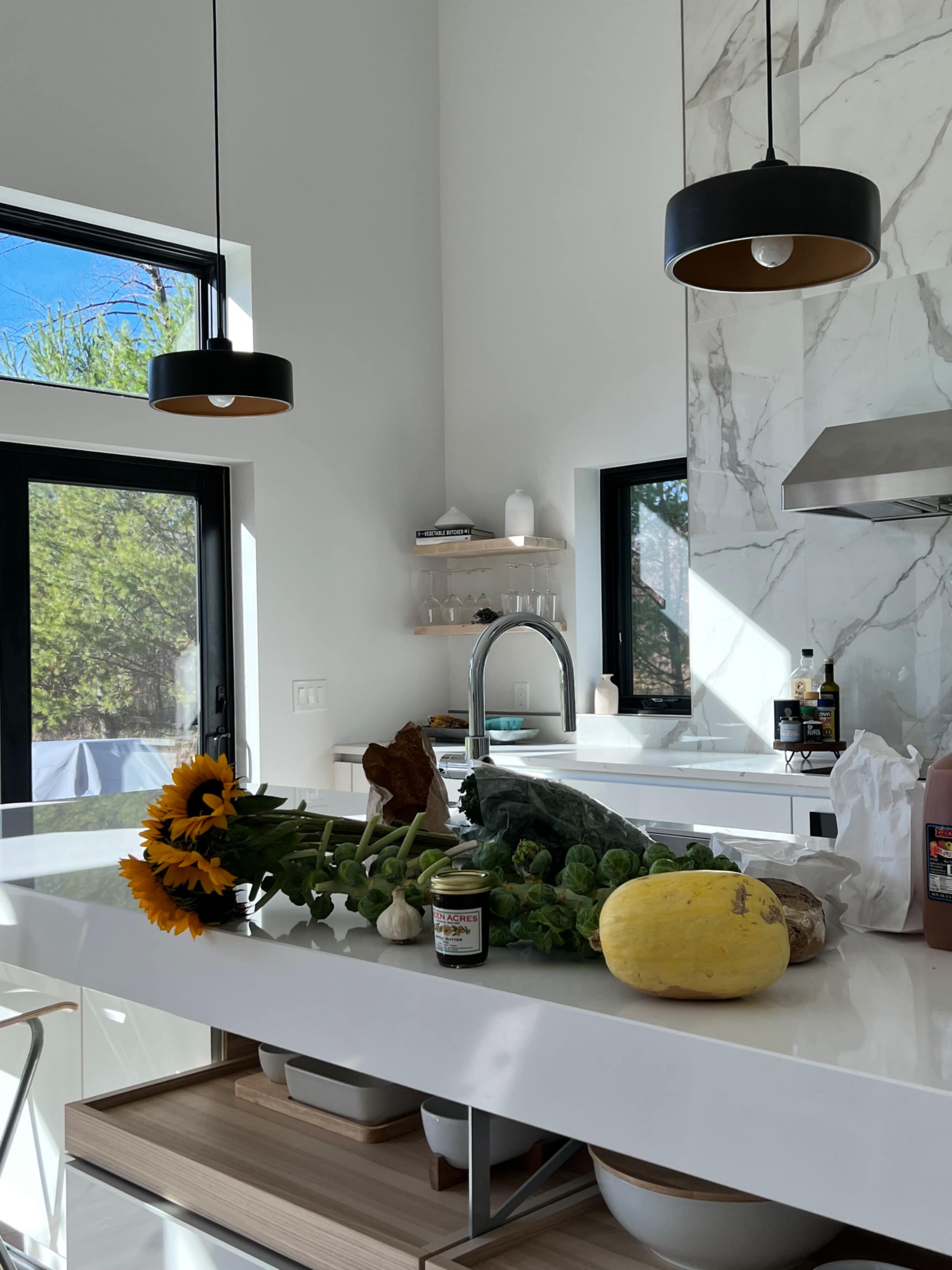 Modern house in rural country setting / Upstate NY / 2 hrs from NYC Image in Coxsackie, Athens, NY