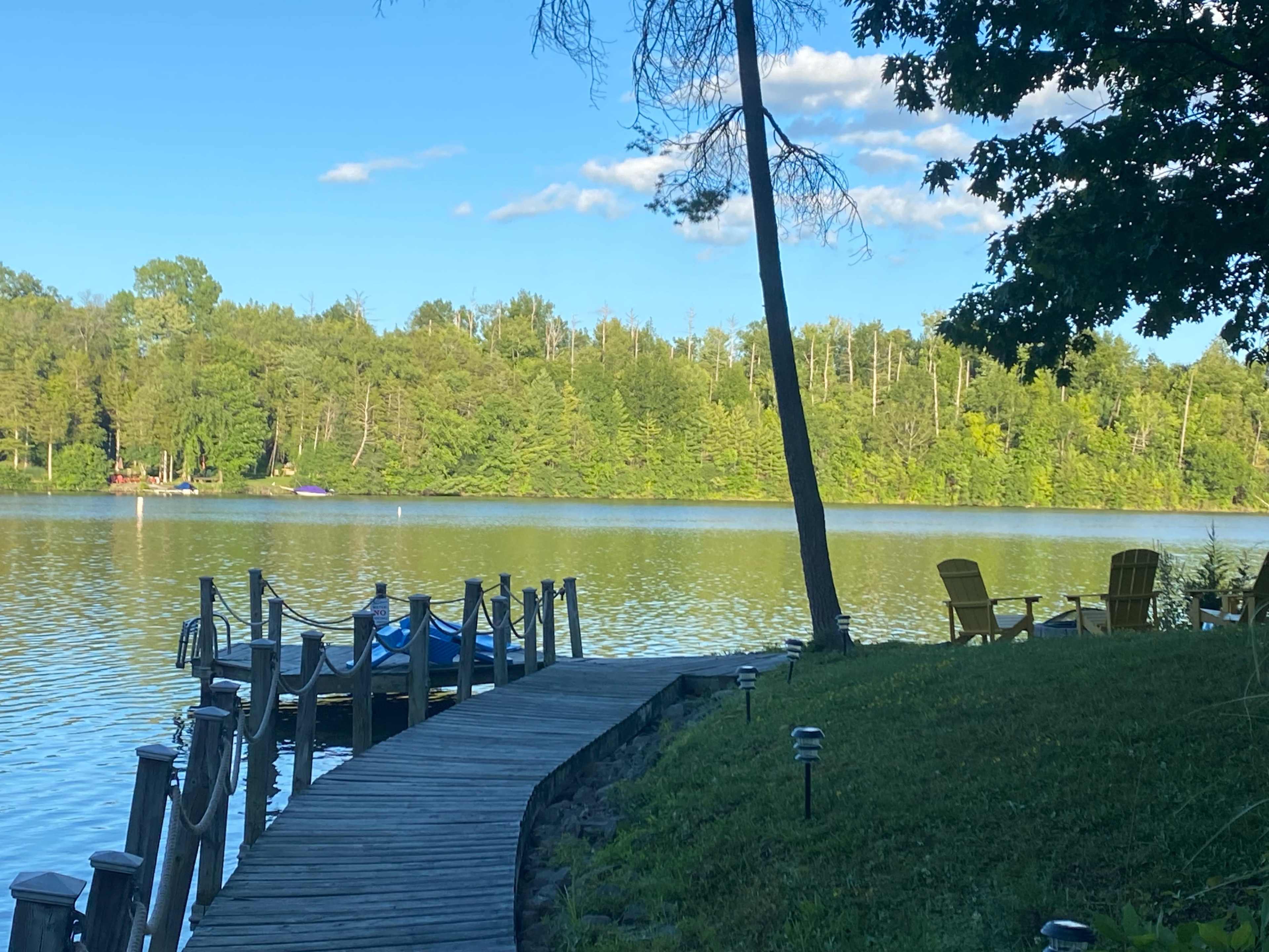 A wooden dock extends into a lake surrounded by lush green trees and a clear sky.
