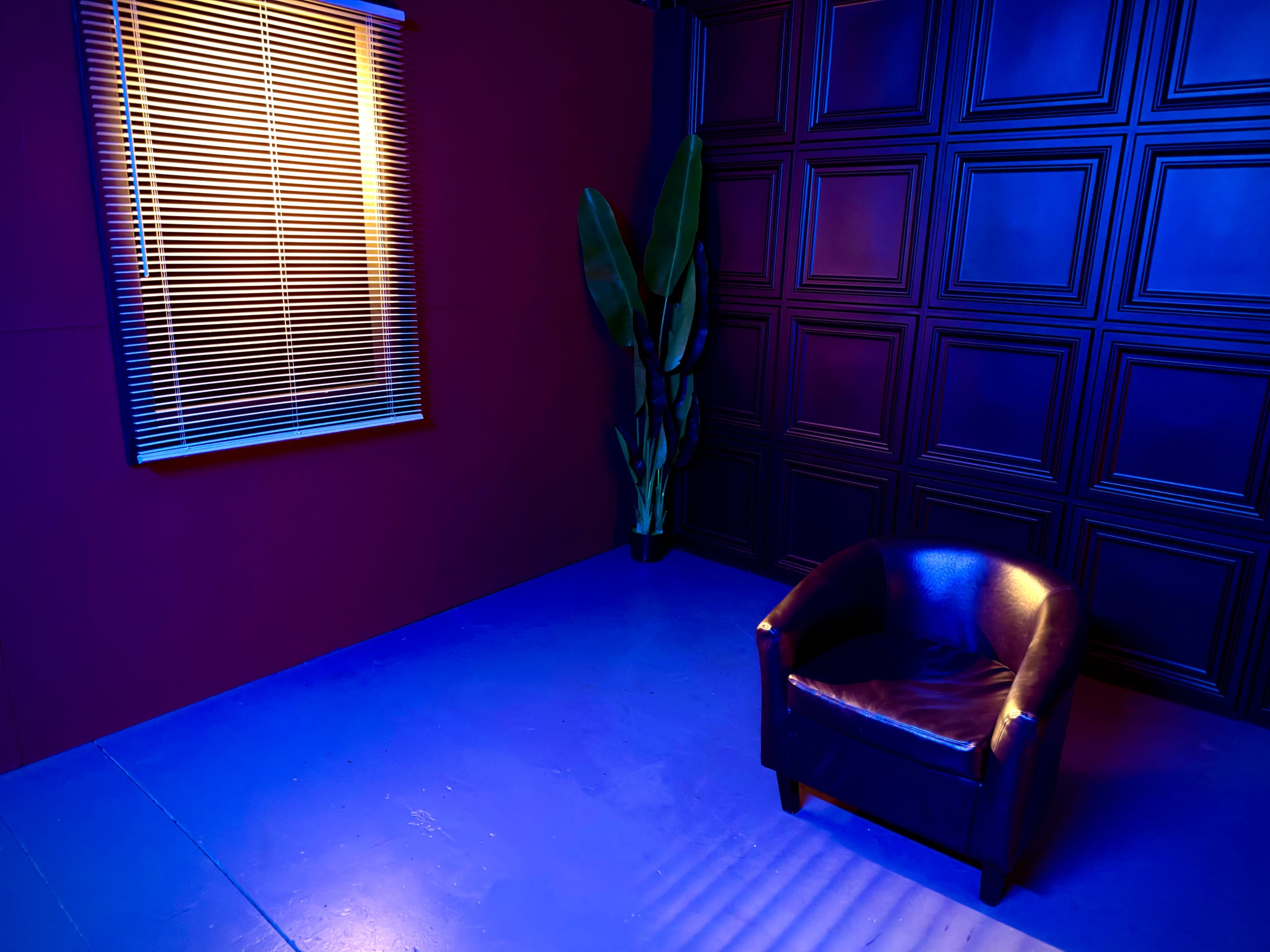 A single black armchair sits in a dimly lit room with a purple wall and a window covered by blinds, accompanied by a potted plant in the corner.
