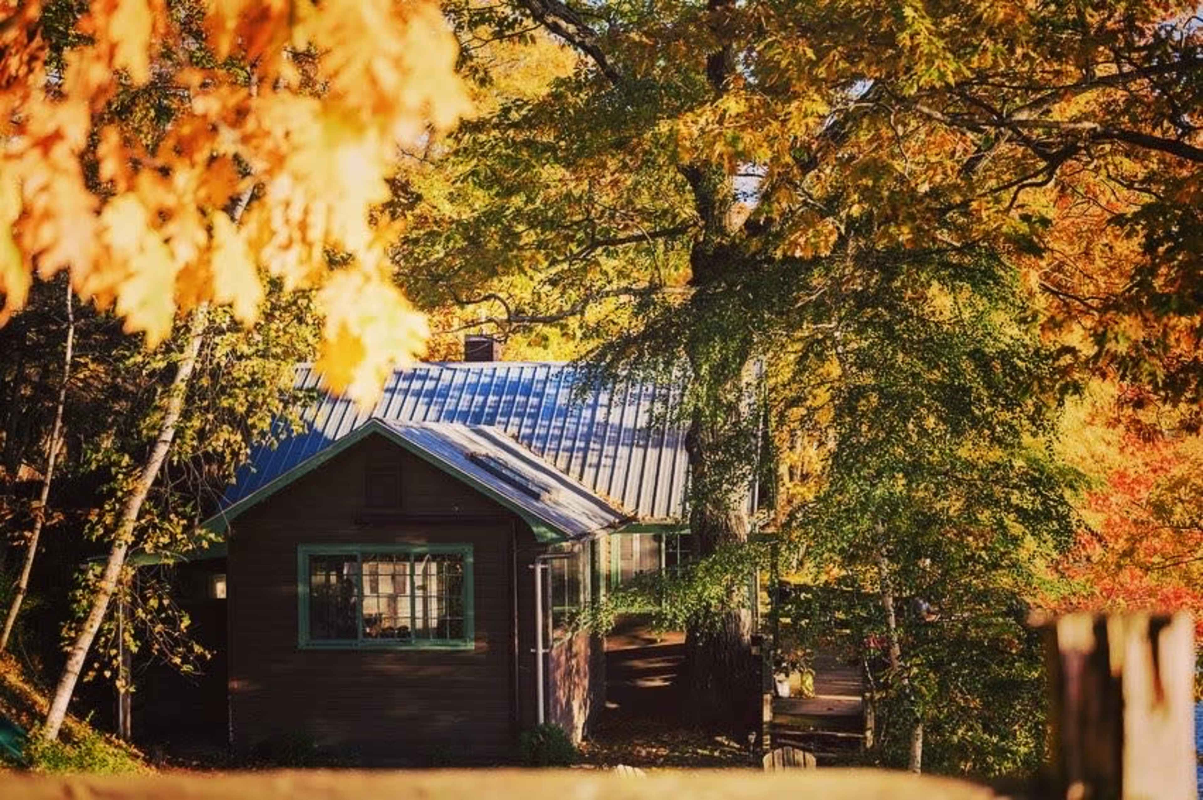 A rustic house with a metal roof is nestled among vibrant autumn trees.