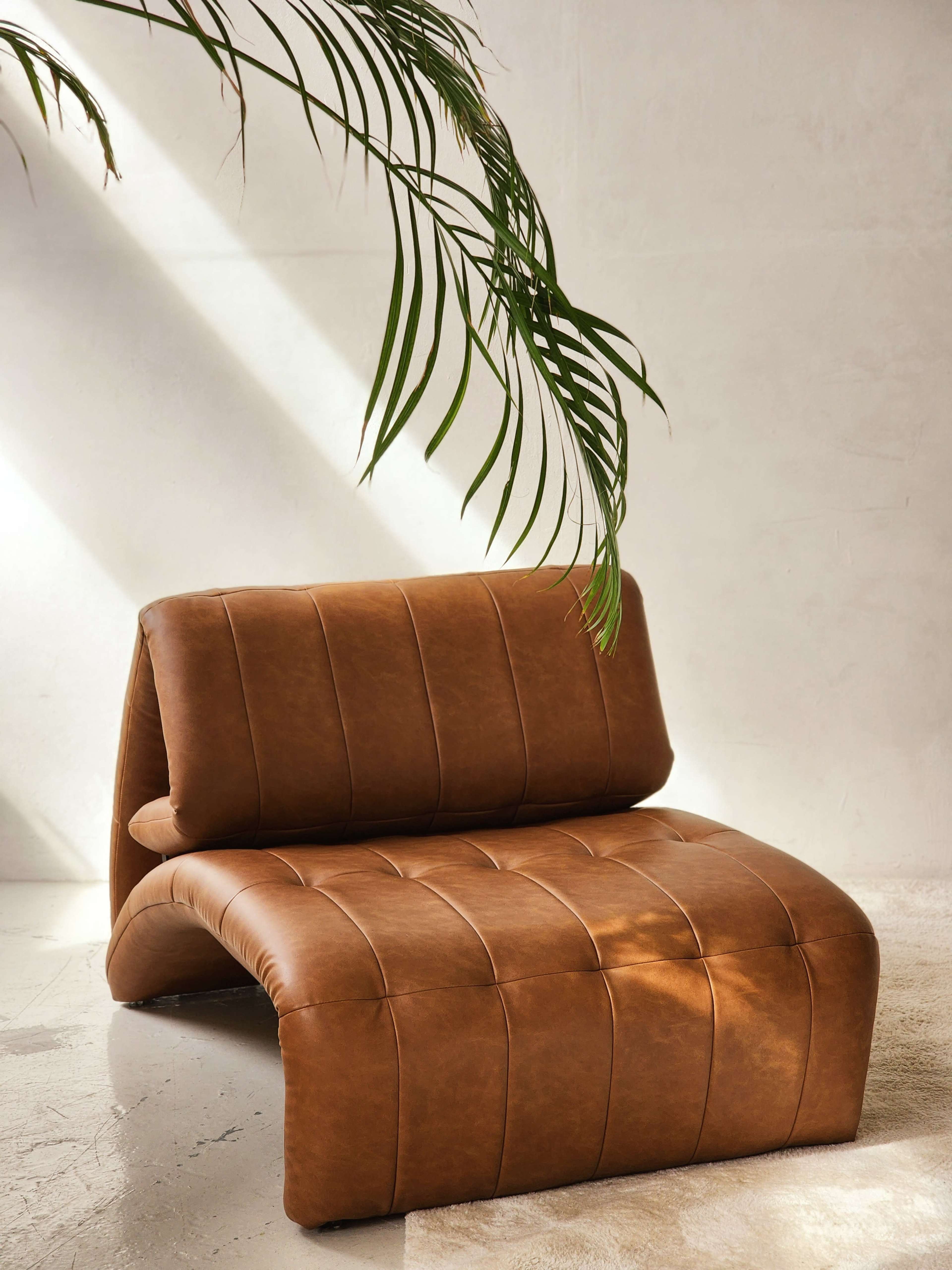 A brown leather lounge chair is positioned near a wall, with sunlight filtering through a nearby plant's leaves.