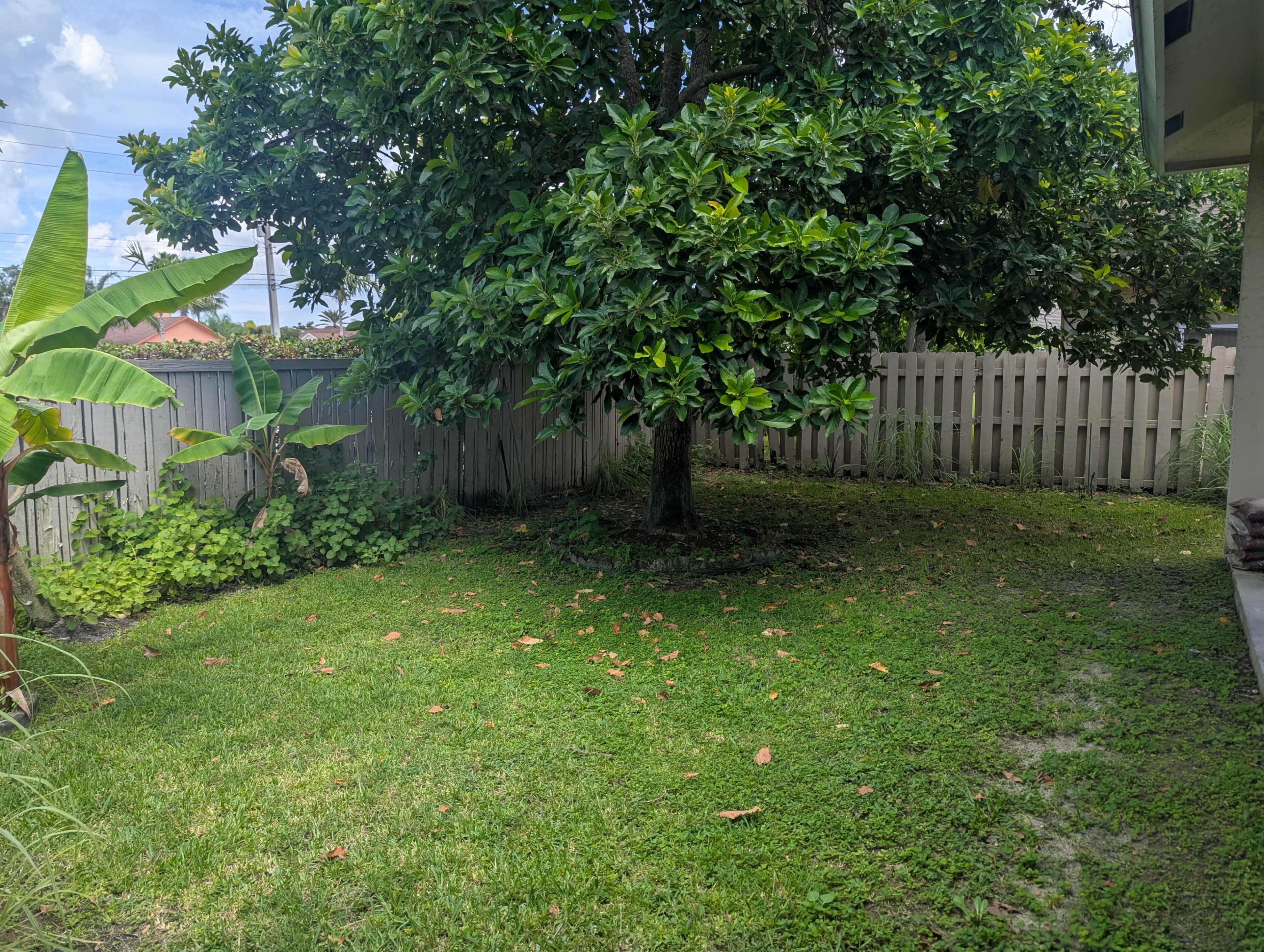 Spacious Suburban Home in Wellington with Tropical Backyard Image in Wellington, Wellington, FL