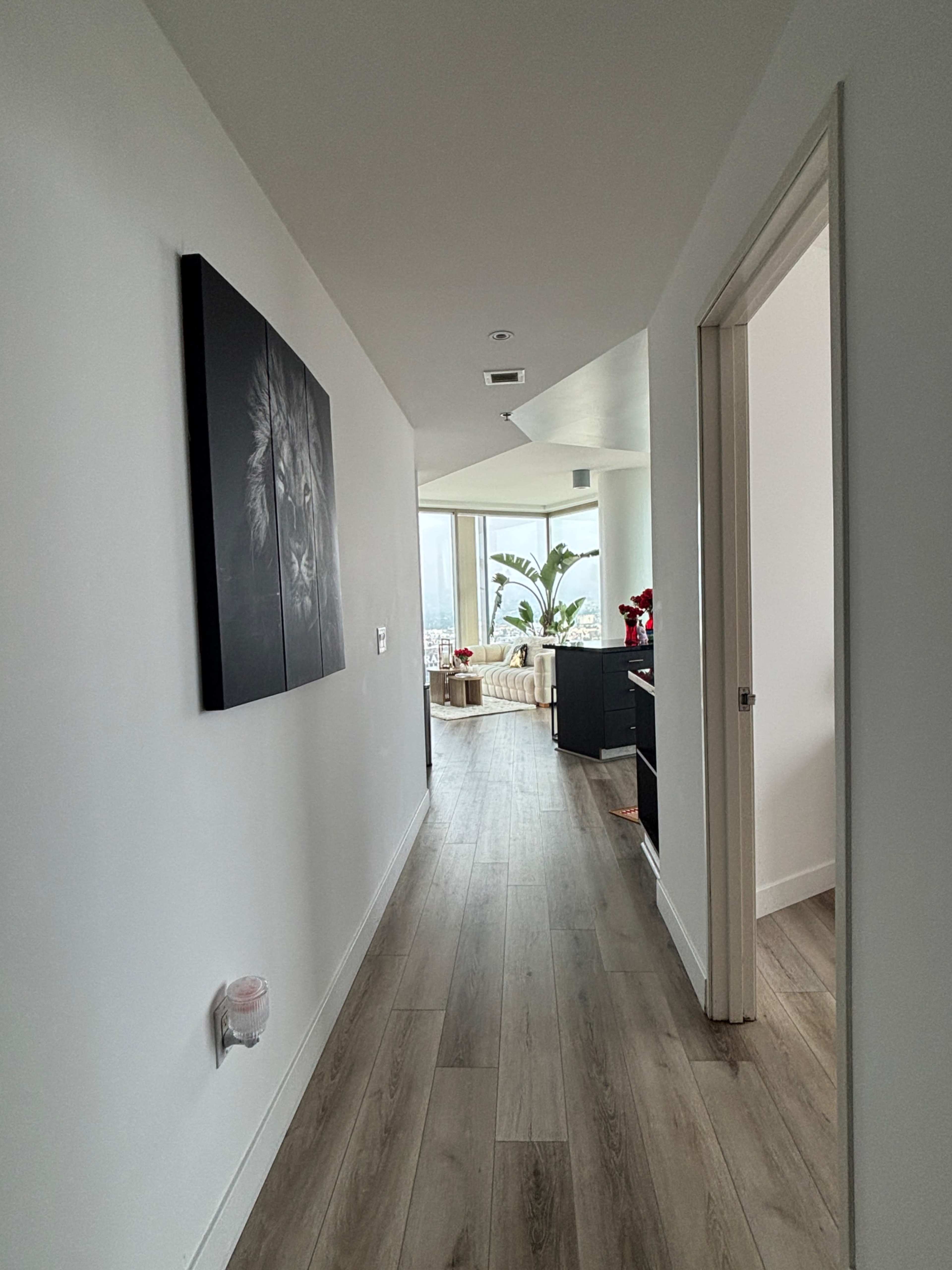 The image shows a narrow hallway leading to a living space with large windows and a view of plants.