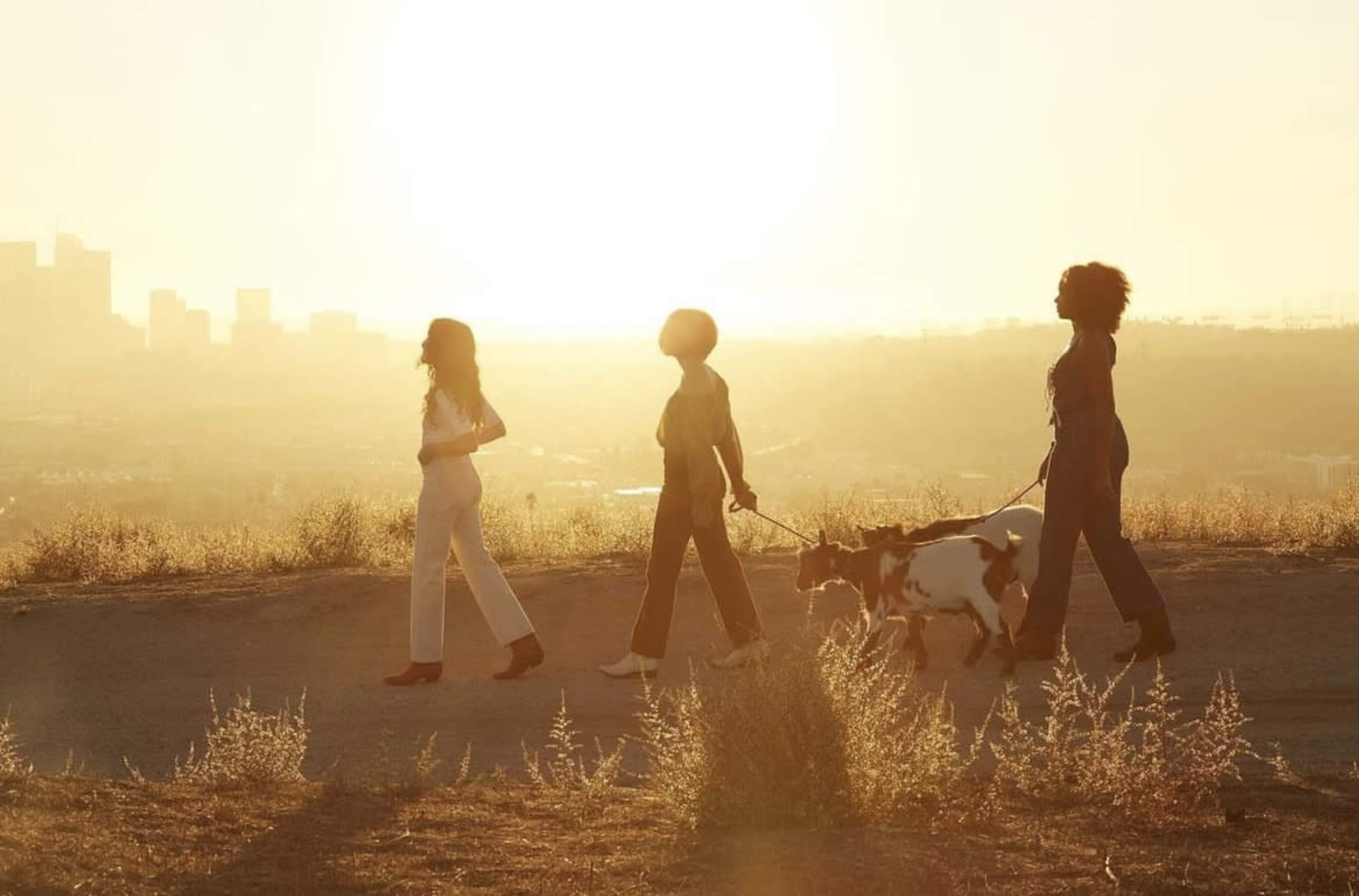 Three people walk a dog on a path with a city skyline in the background during sunset.