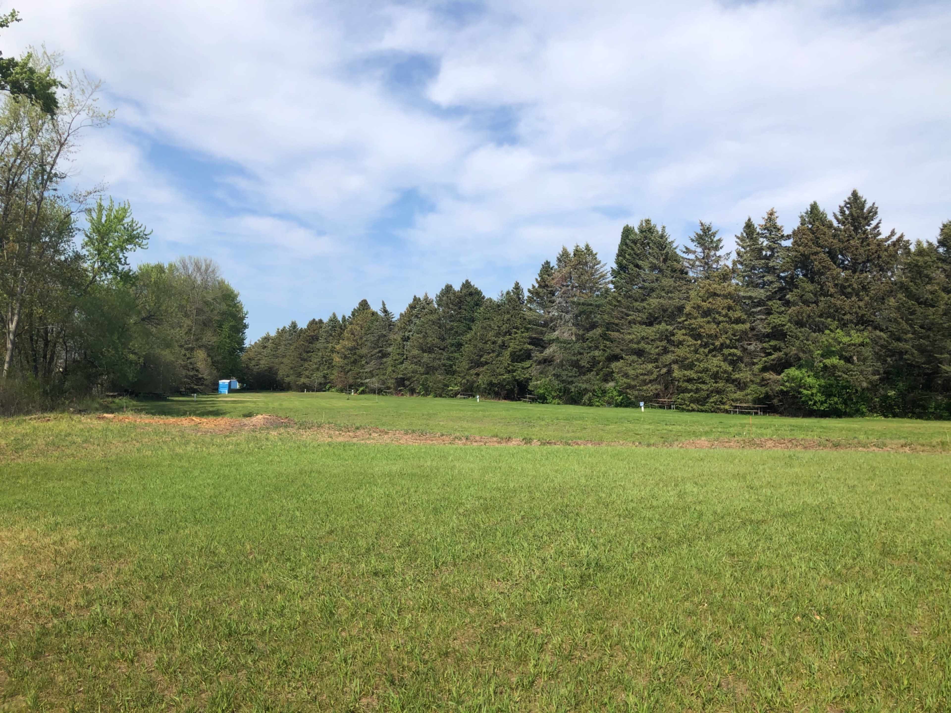 A grassy field bordered by a dense line of trees under a partly cloudy sky.