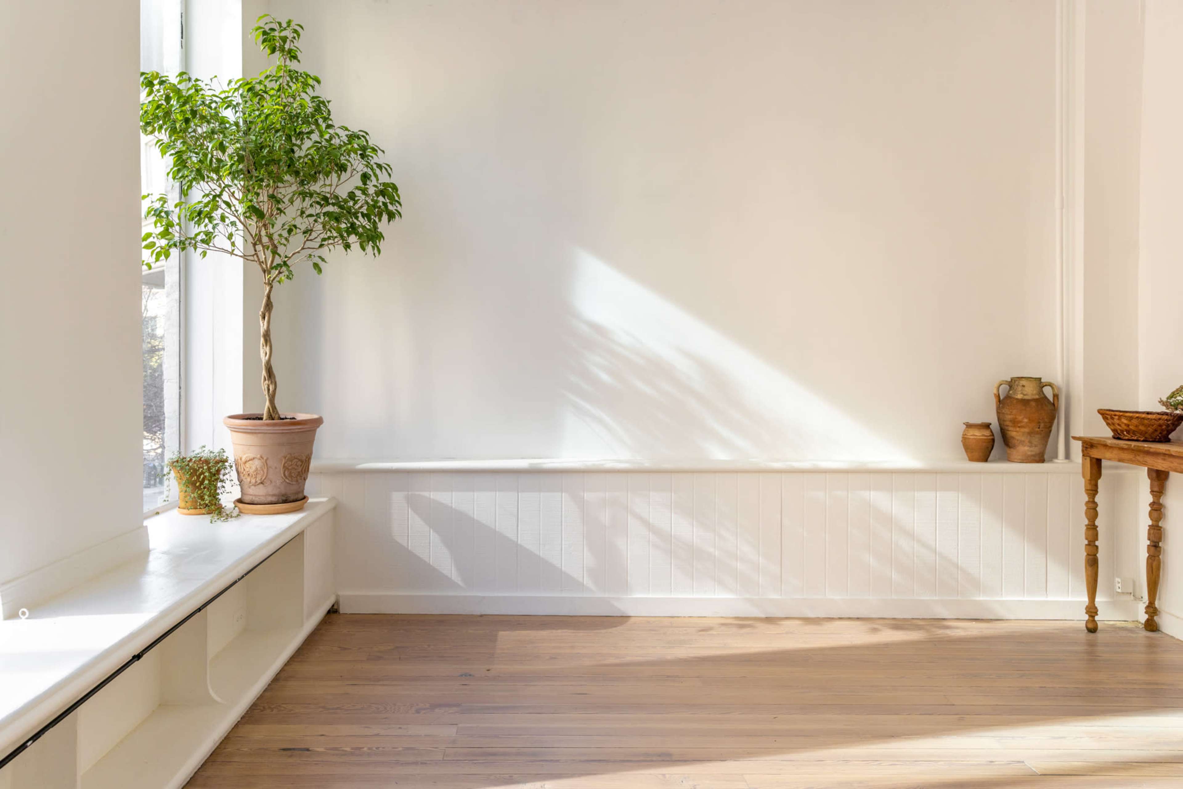 A potted plant sits on a windowsill next to wooden furniture in a sunlit room with light-colored walls.