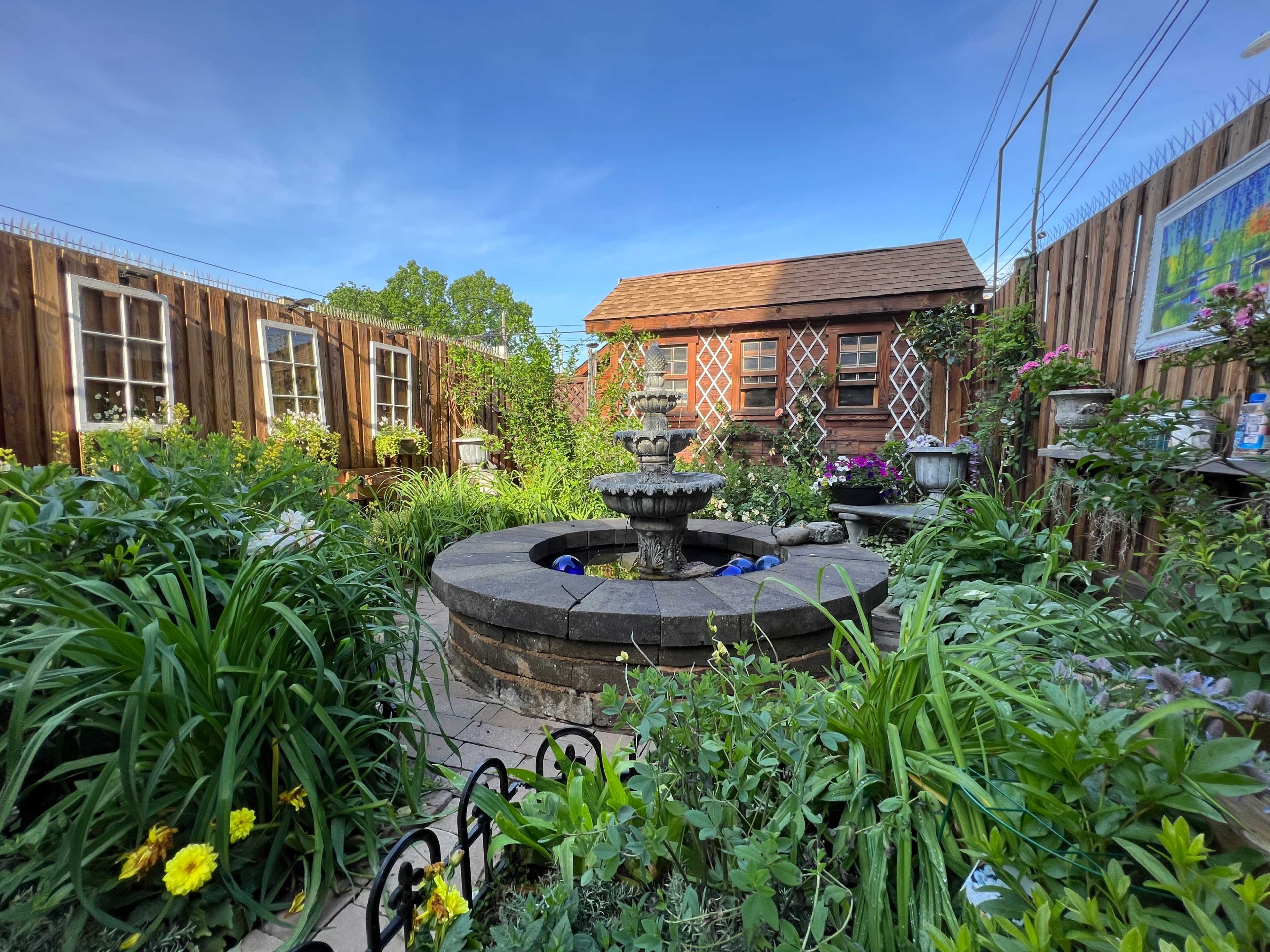 Hidden Garden Oasis on Capitol Hill Image in Capitol Hill, Washington, DC