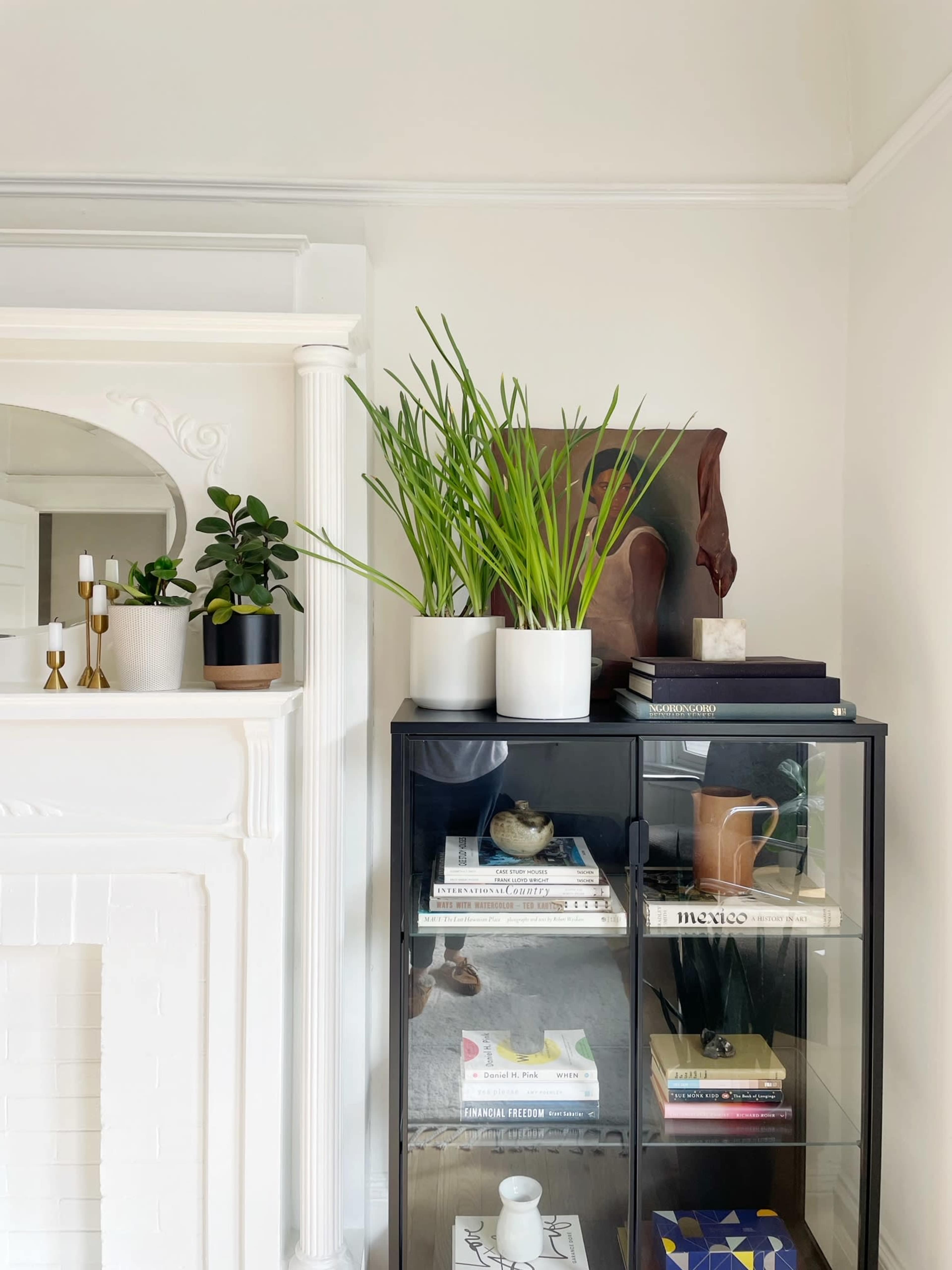 A bookshelf in a bright room, decorated with various potted plants, books, and a decorative item on top.