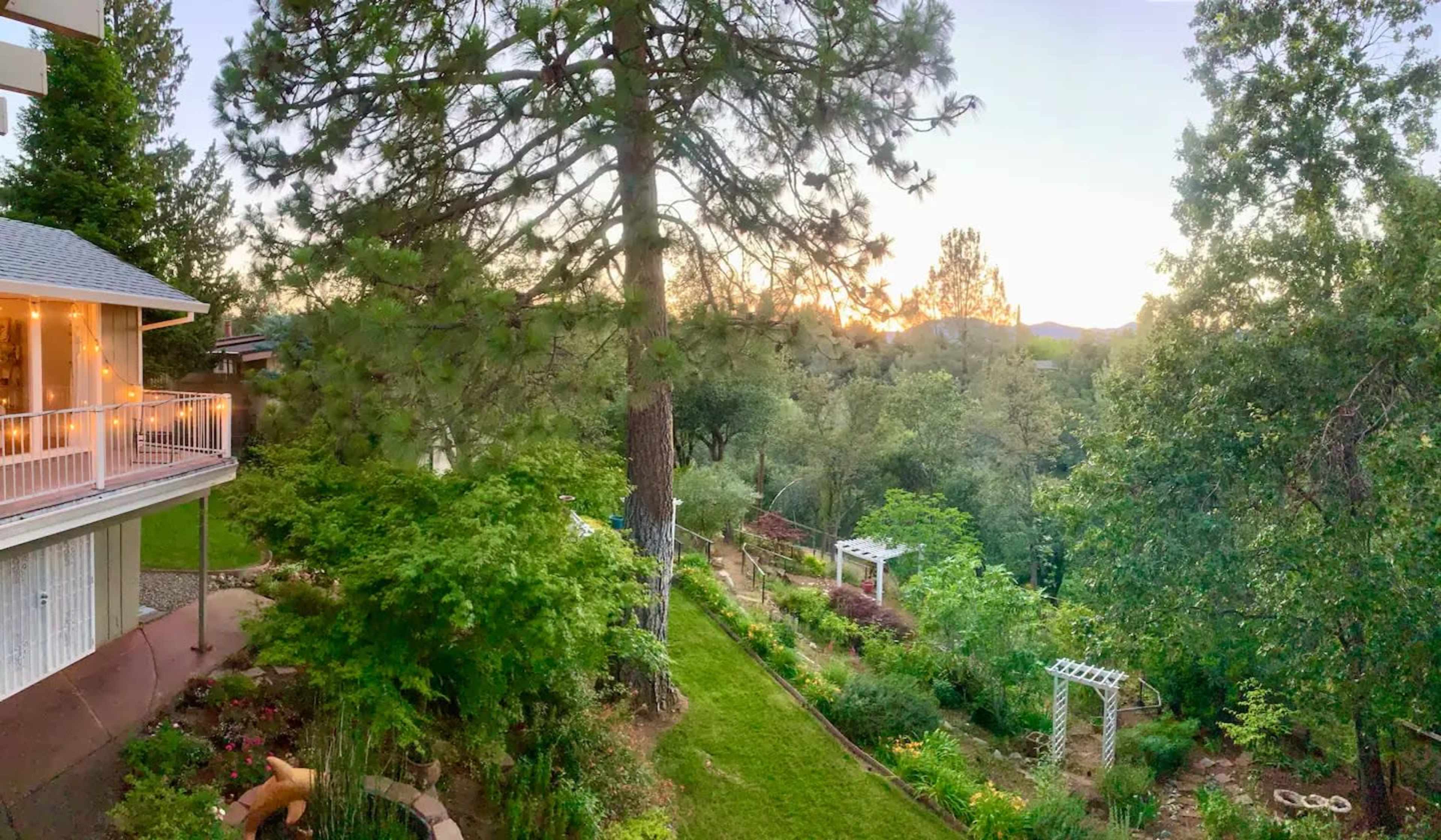 A scenic view of a garden with trees, a sloped lawn, and a sunset in the background.