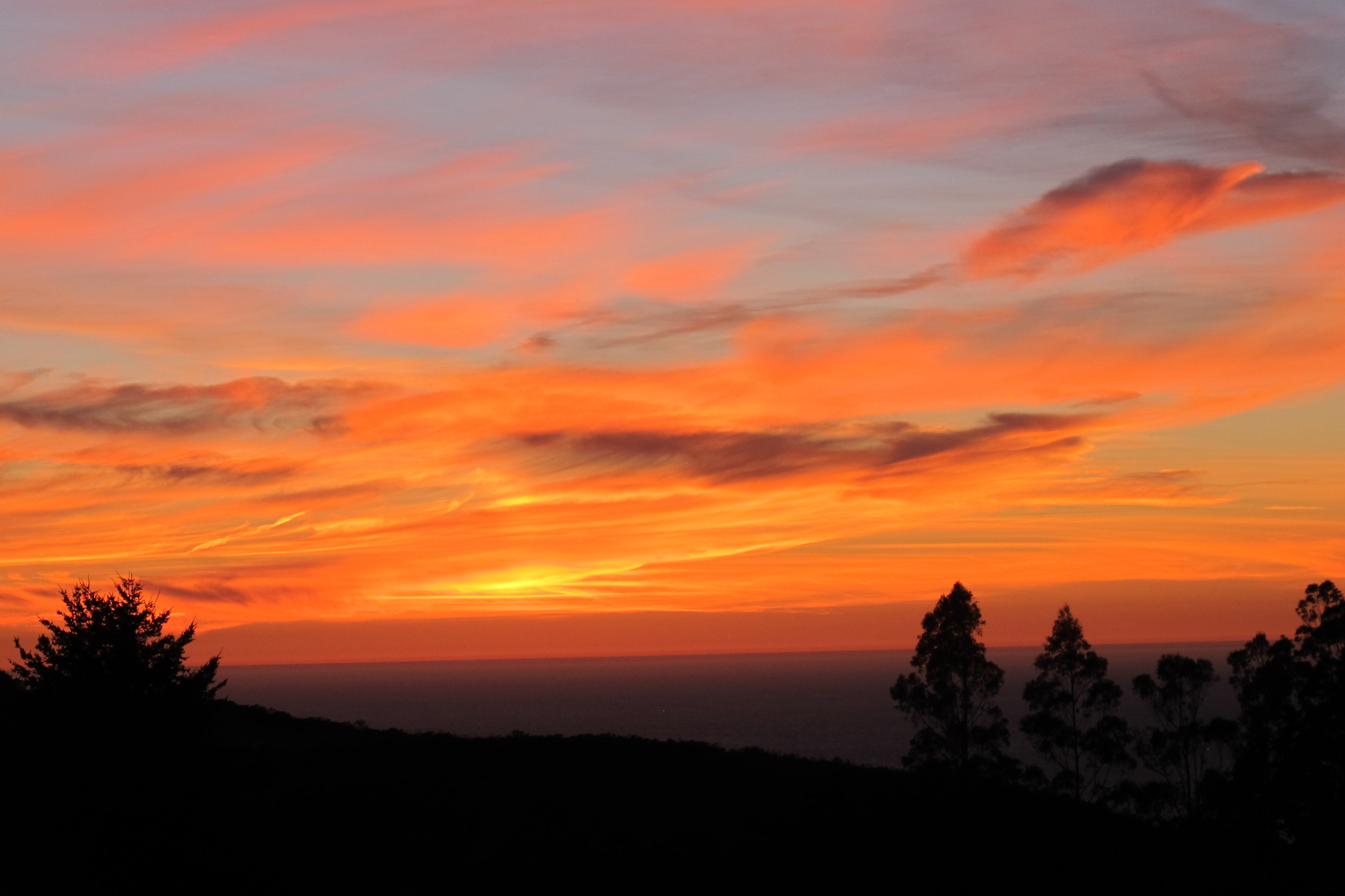 A vibrant sunset with clouds in shades of orange and pink, silhouetted by trees in the foreground.