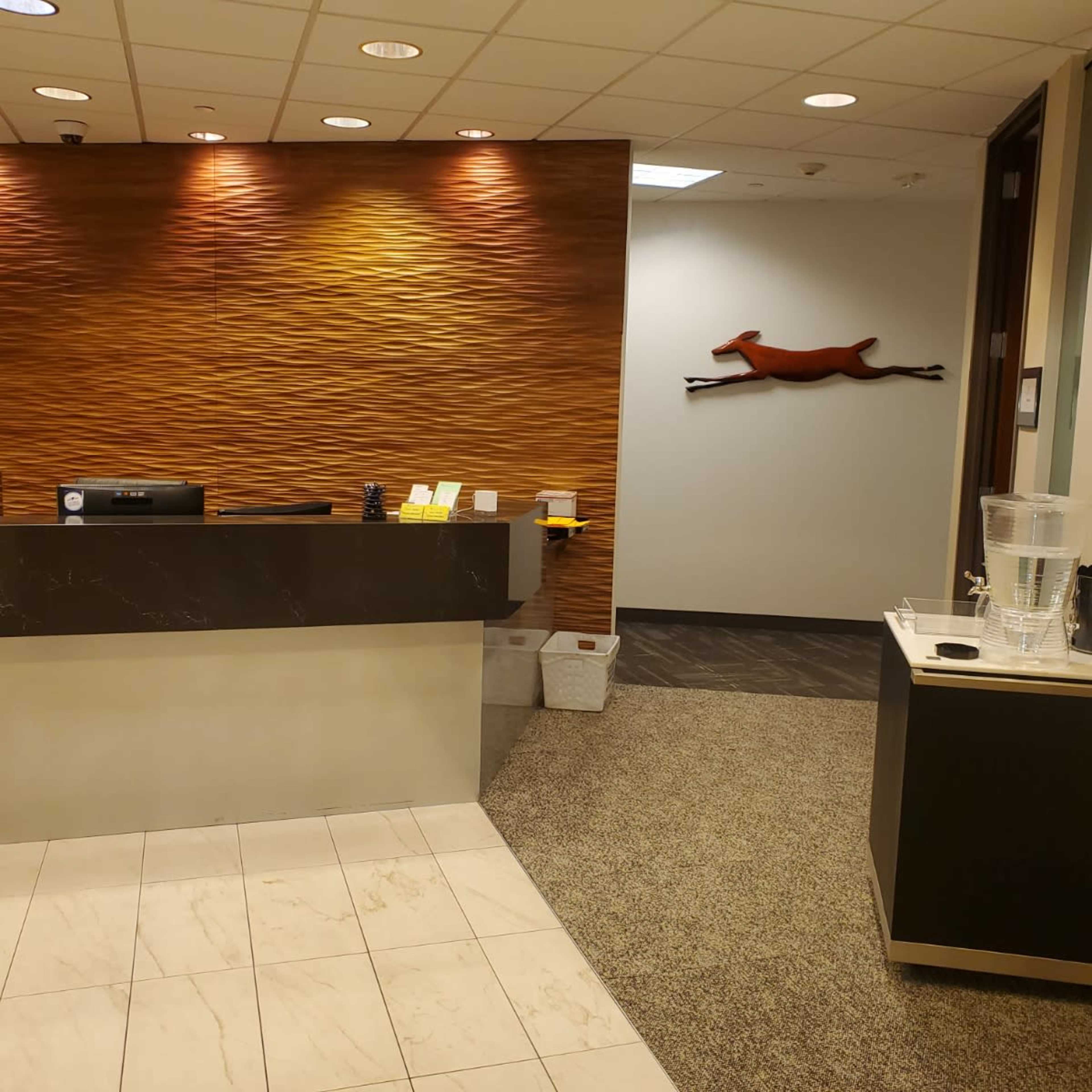 The image shows a modern reception area with a marble counter, textured wood paneling on the wall, and a decorative dog silhouette mounted on another wall.