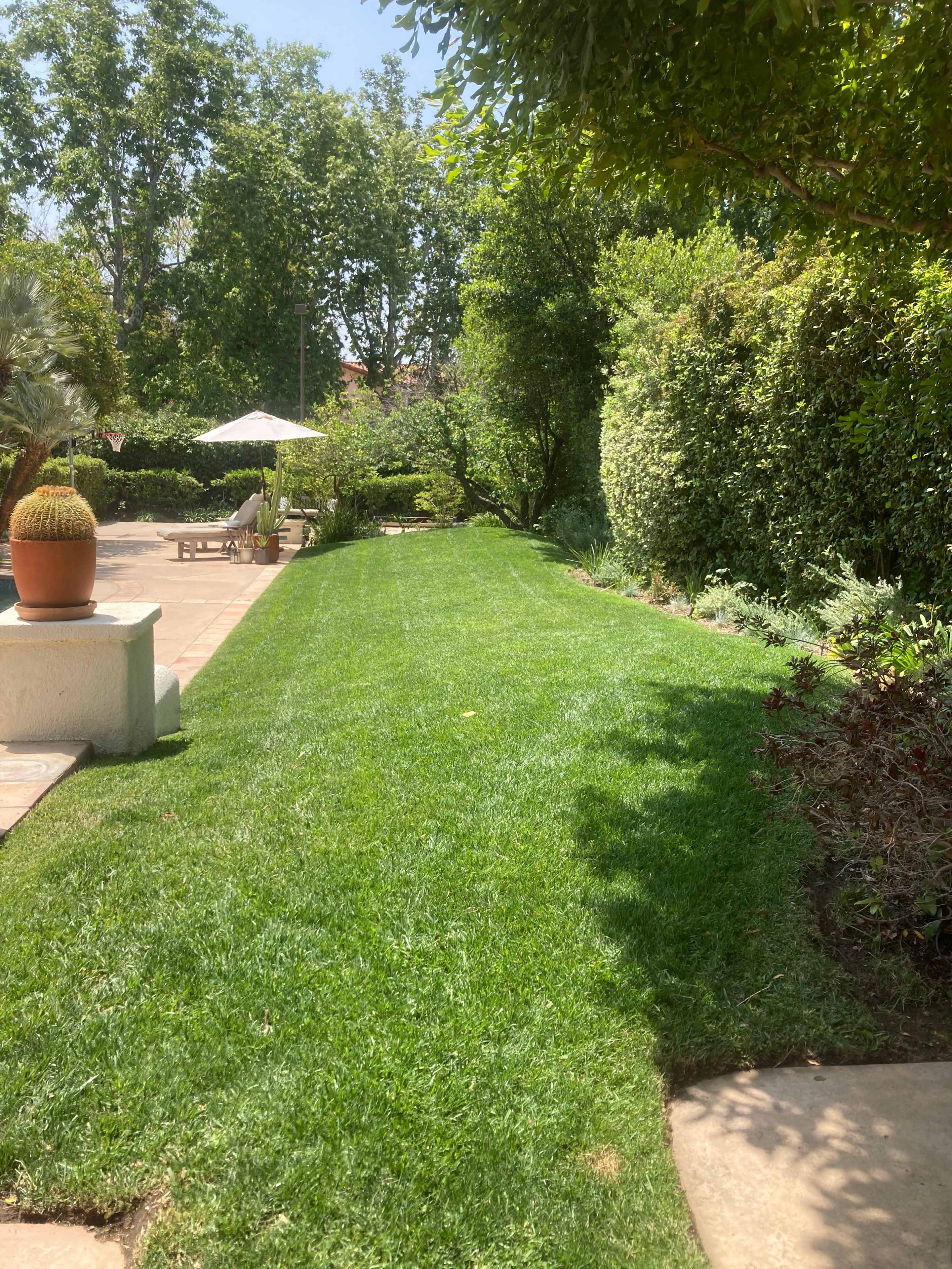 A well-maintained lawn leads to a shaded seating area beneath an umbrella in a landscaped garden.