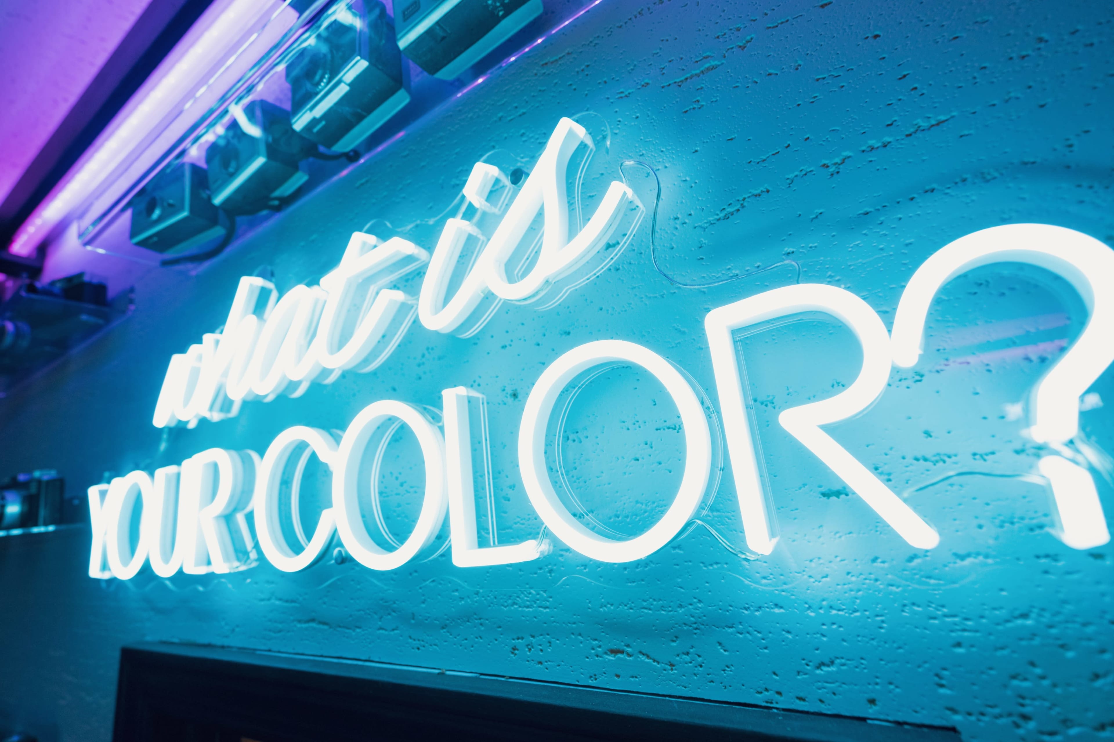 A neon sign that reads "what is YOUR COLOR?" is illuminated against a textured blue wall.