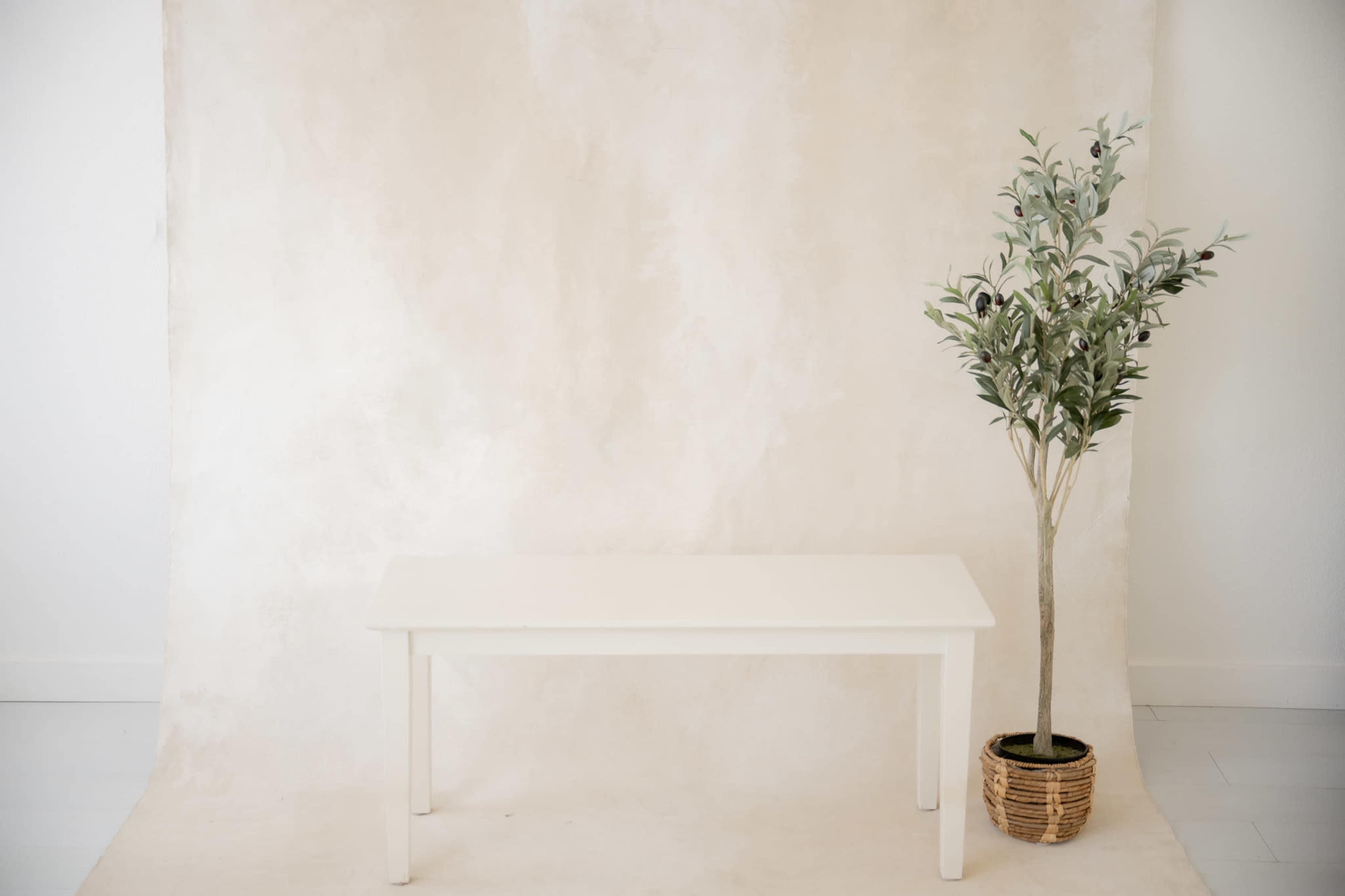A plain white table is positioned in front of a textured beige backdrop with a potted green plant beside it.