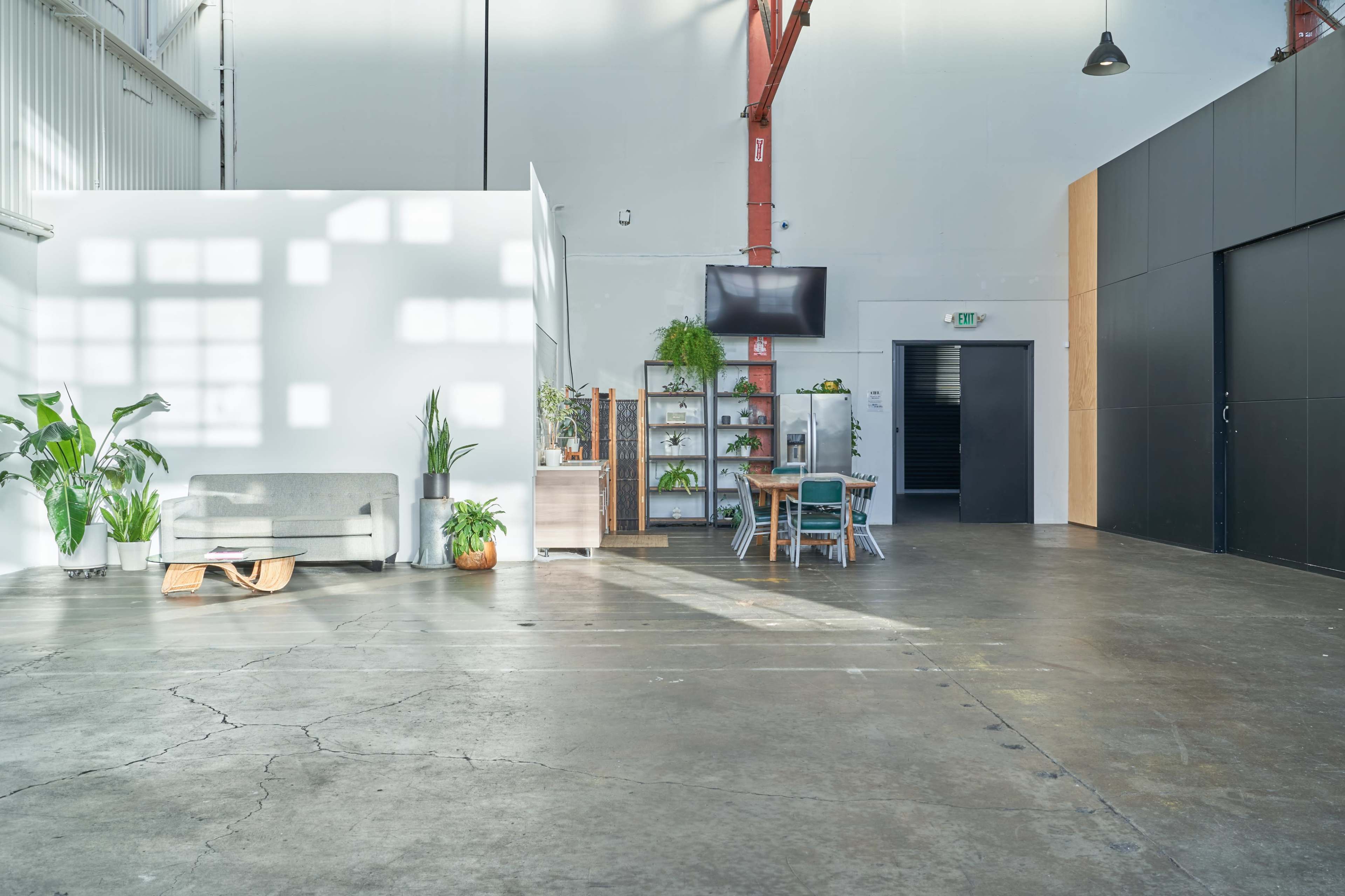 A spacious, well-lit room with a seating area, plants, and furniture arranged along one wall.