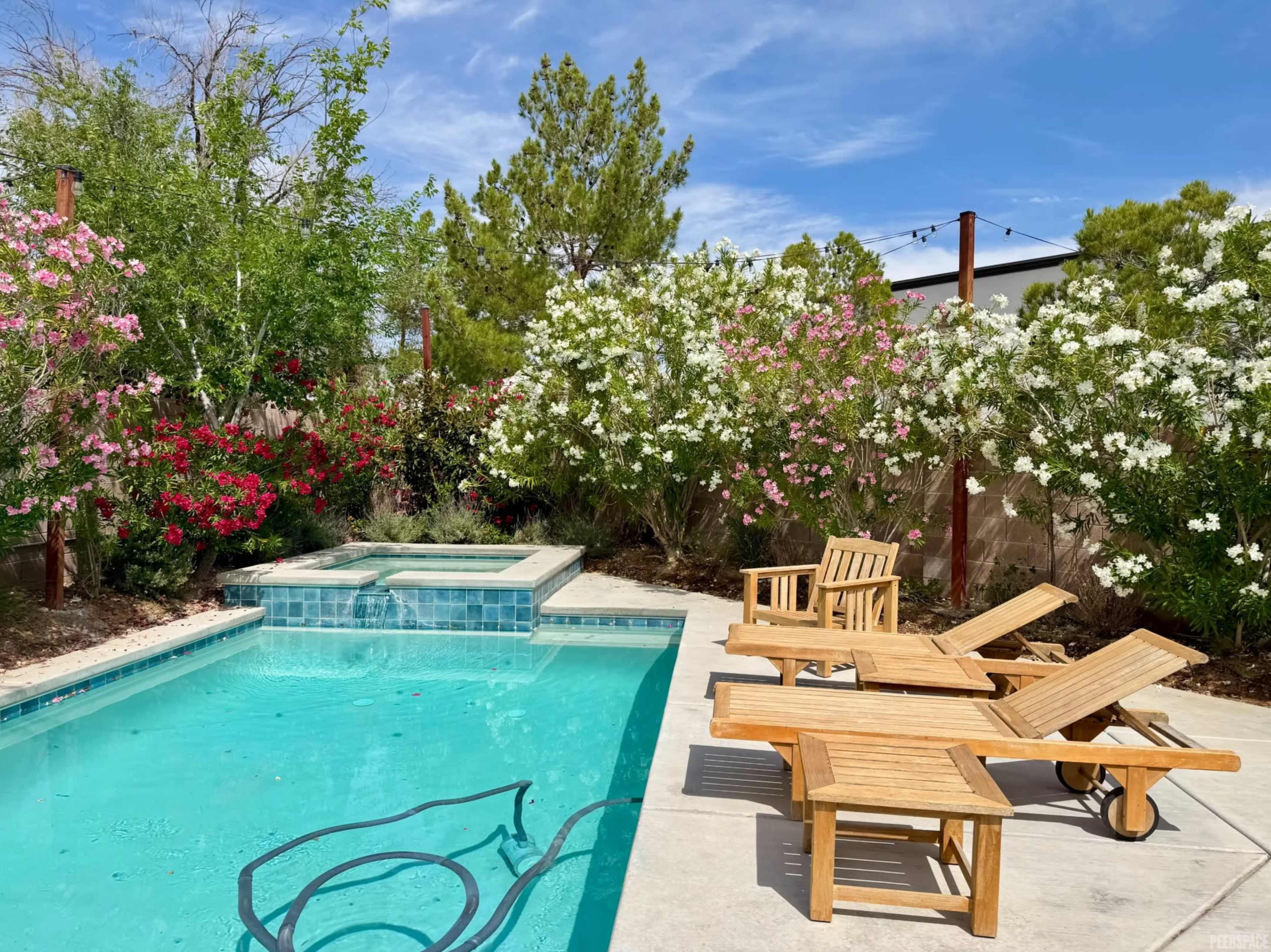 A clear swimming pool is surrounded by flowering shrubs and wooden lounge chairs on a sunny day.