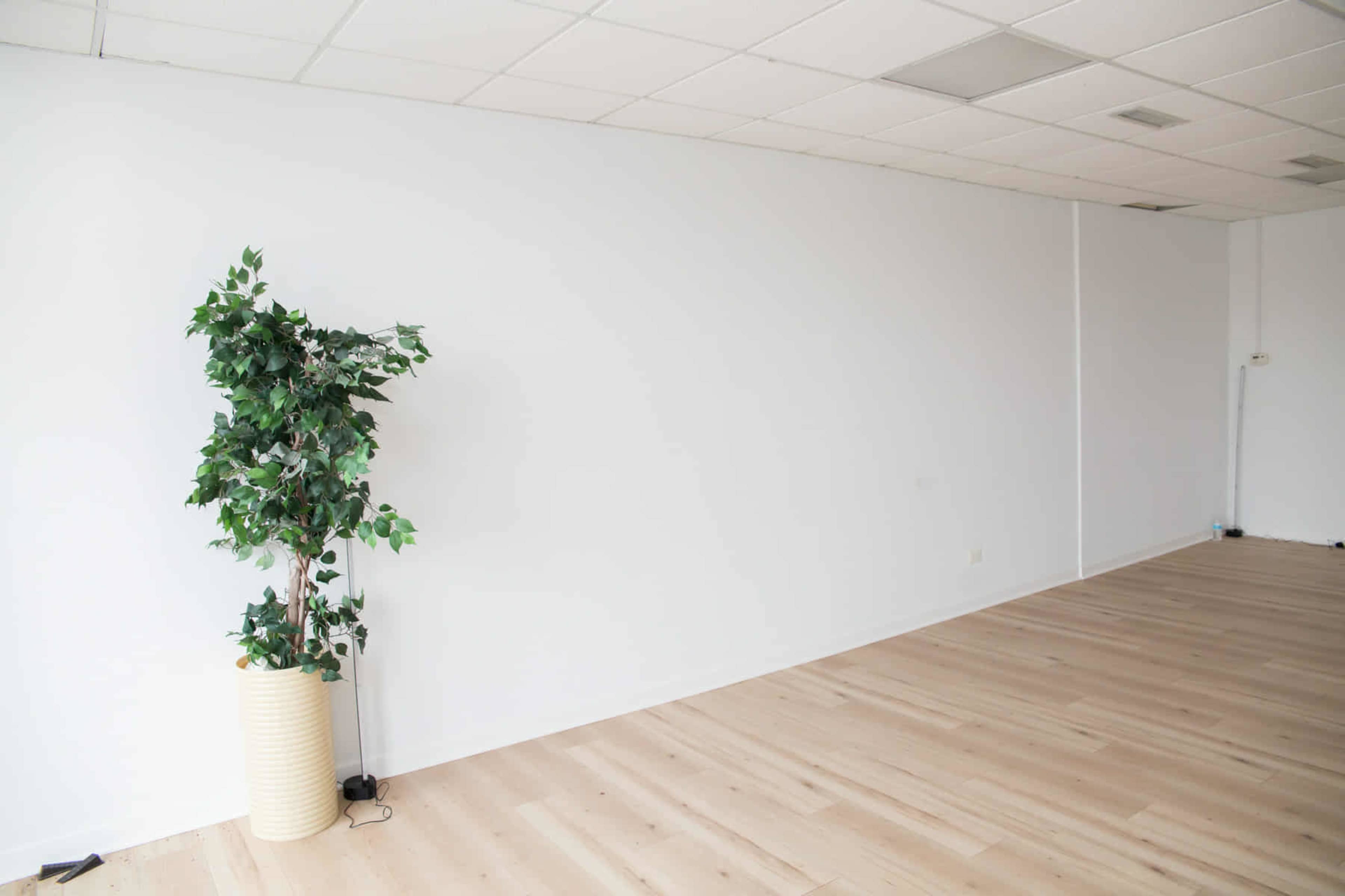 Affordable Dance Studio with Natural Light and Great Vibes Image in Elk Grove Township, Arlington Heights, IL