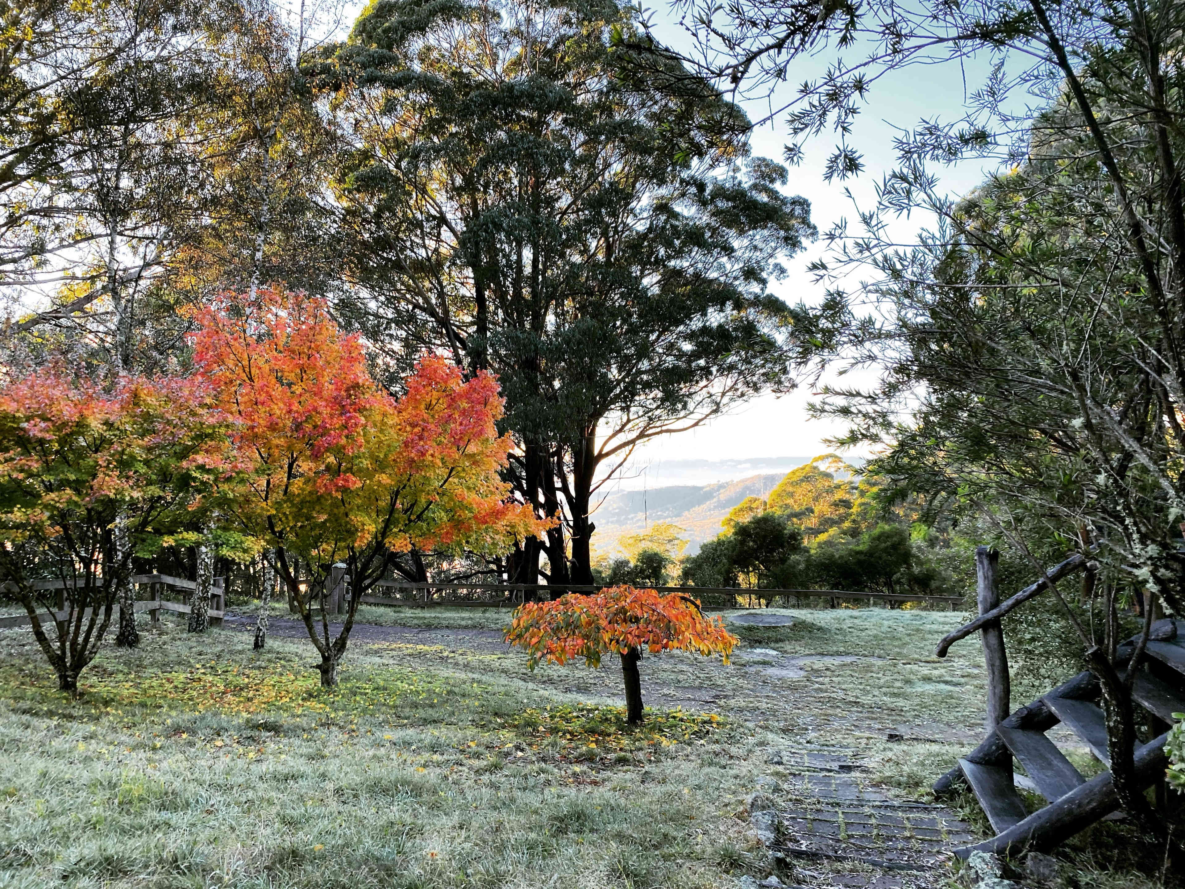 A peaceful landscape with trees displaying autumn colors, set against a backdrop of mountains and a clear sky.
