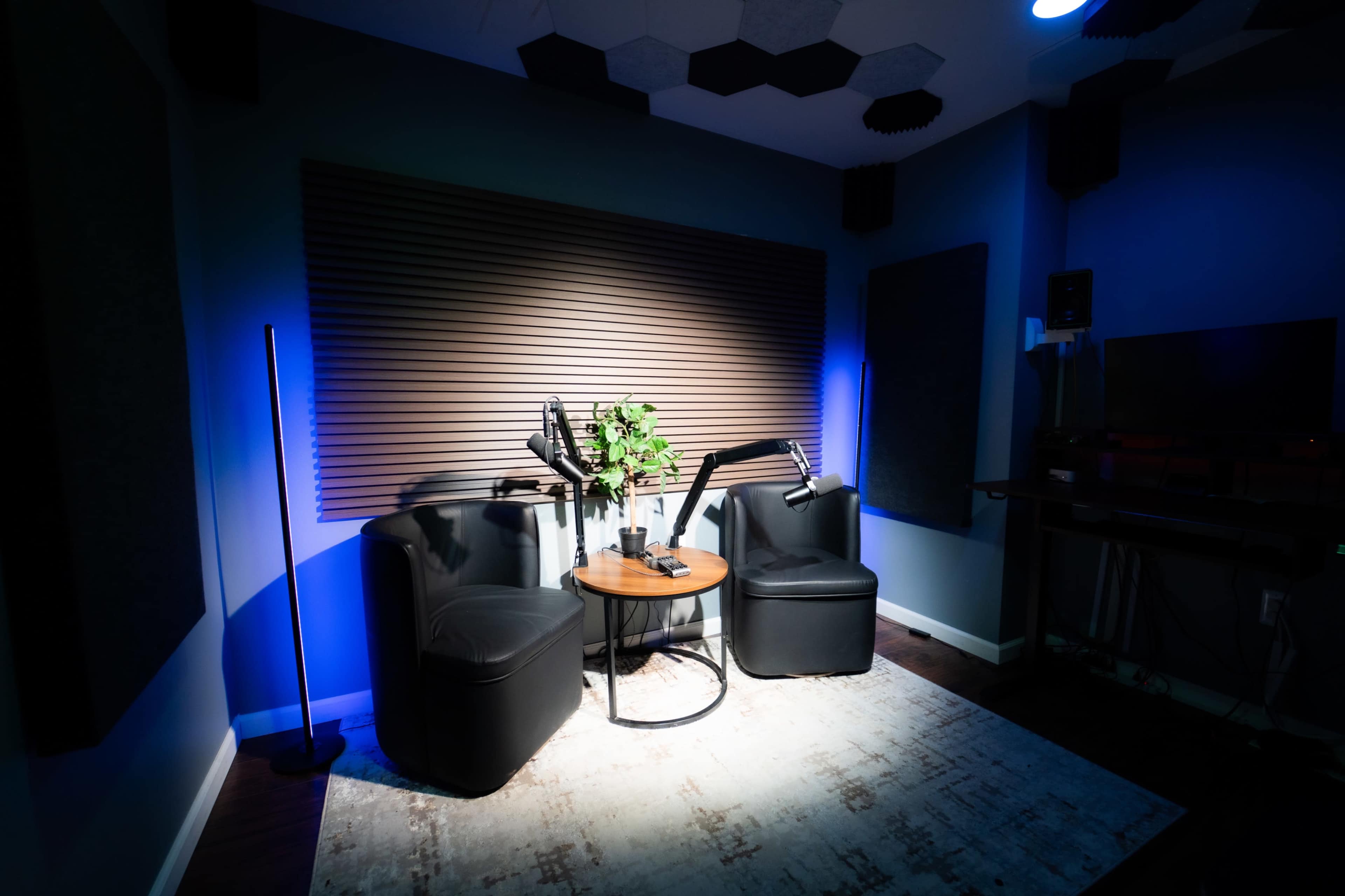 The image shows a well-lit recording studio featuring two black chairs, a small round table, and a plant, with soundproof panels on the walls.