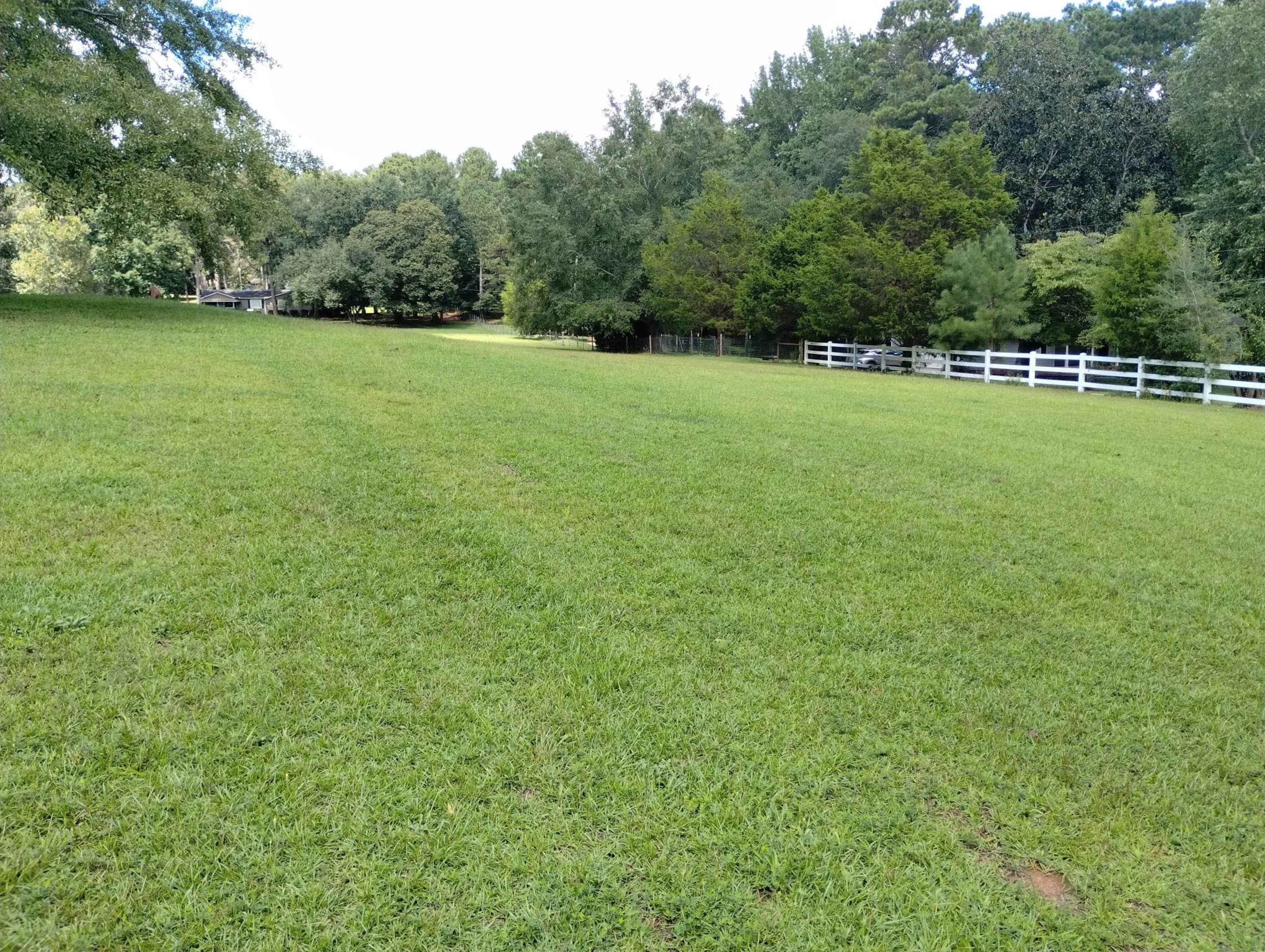 A green, open field with a fence line and a row of trees in the background.