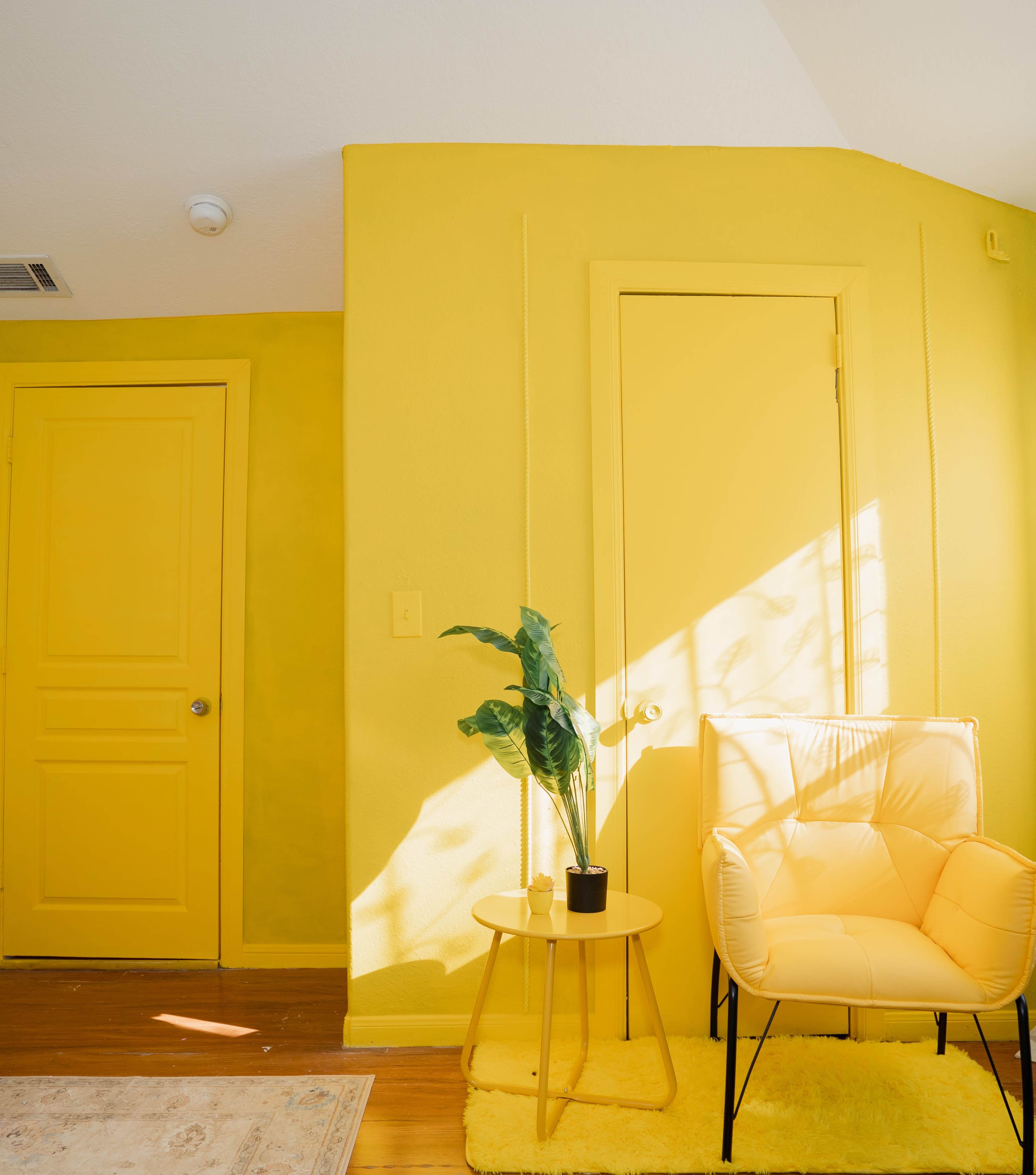The image shows a bright yellow room with a potted plant on a small table next to a light-colored chair, illuminated by sunlight.